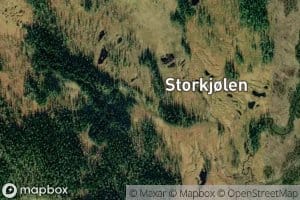 Vikmorbekken