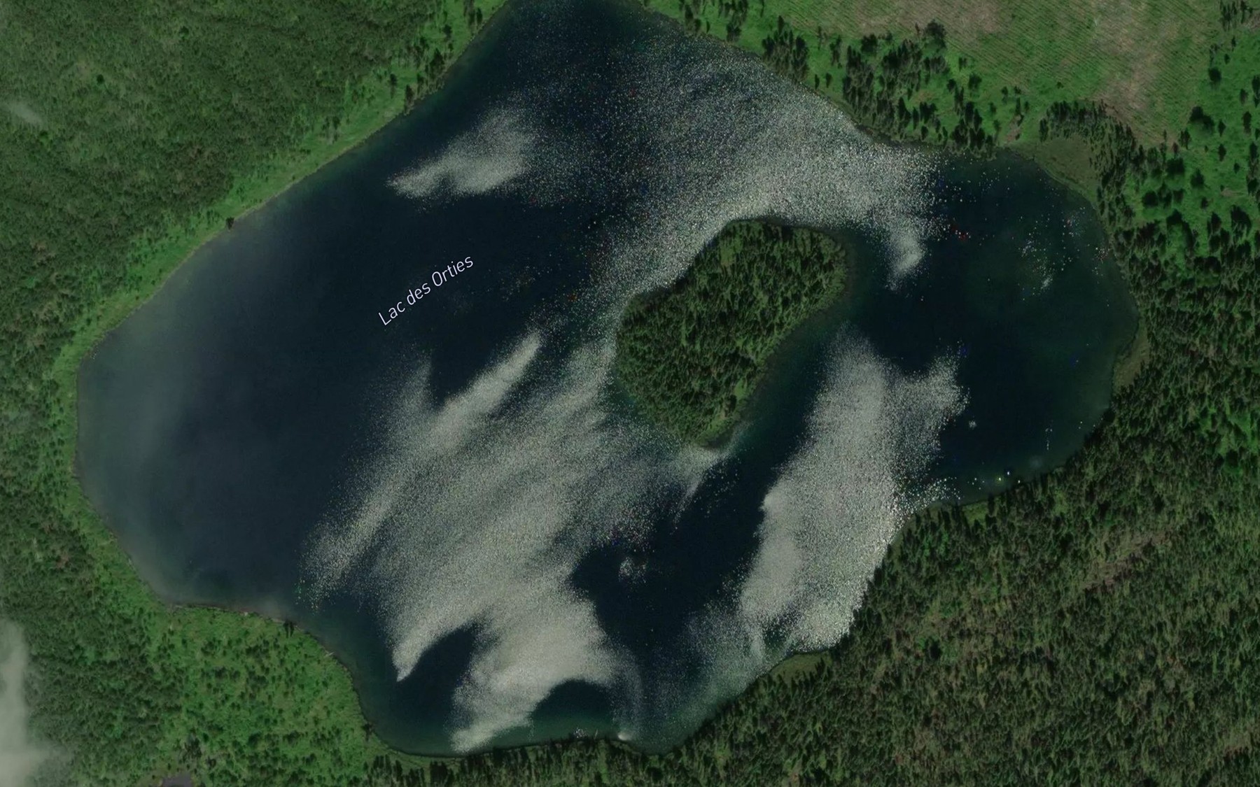 Satellite map of the Lac des Orties