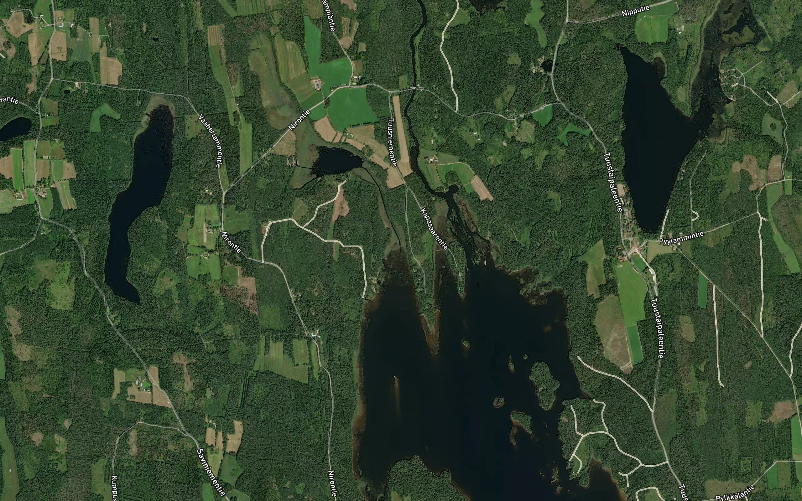 Salmensuu