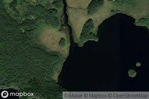 Sammalpuro