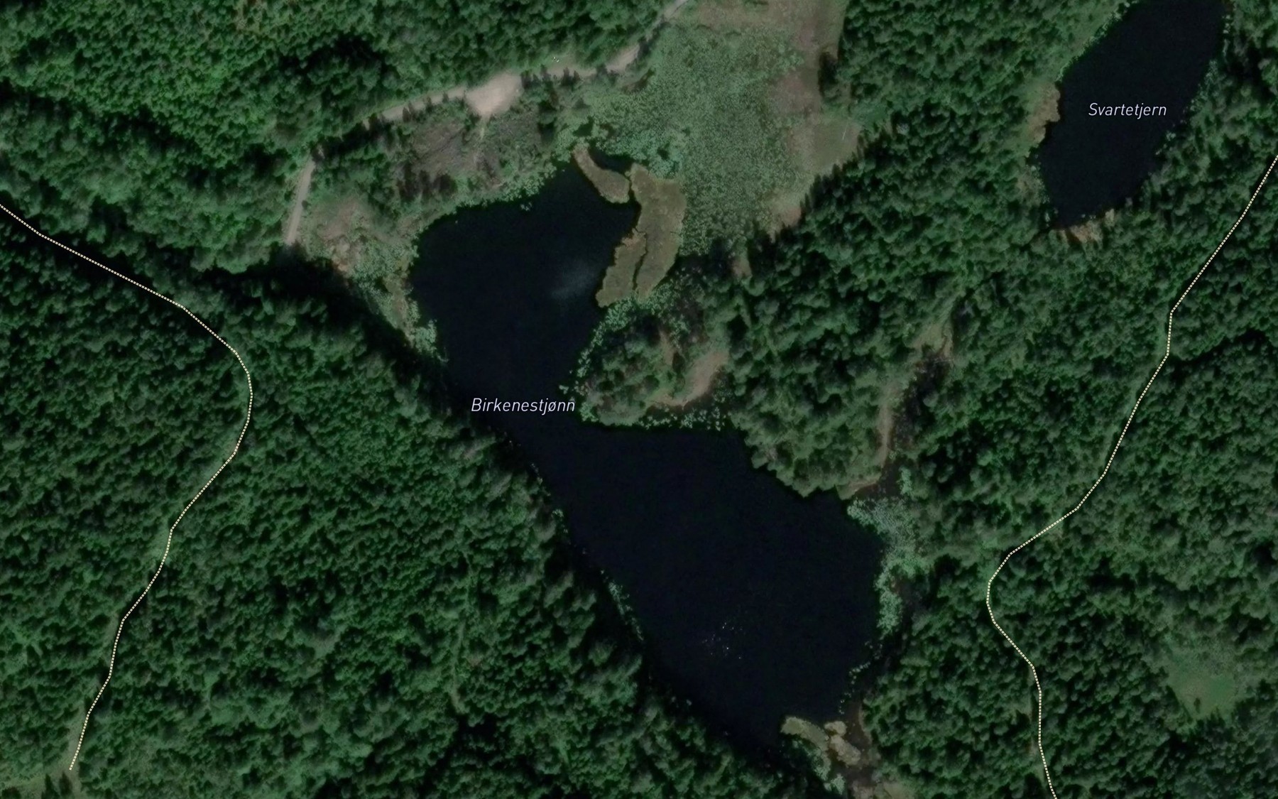 Satellite map of the Birkenestjonn