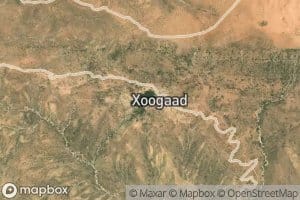 Xoogad