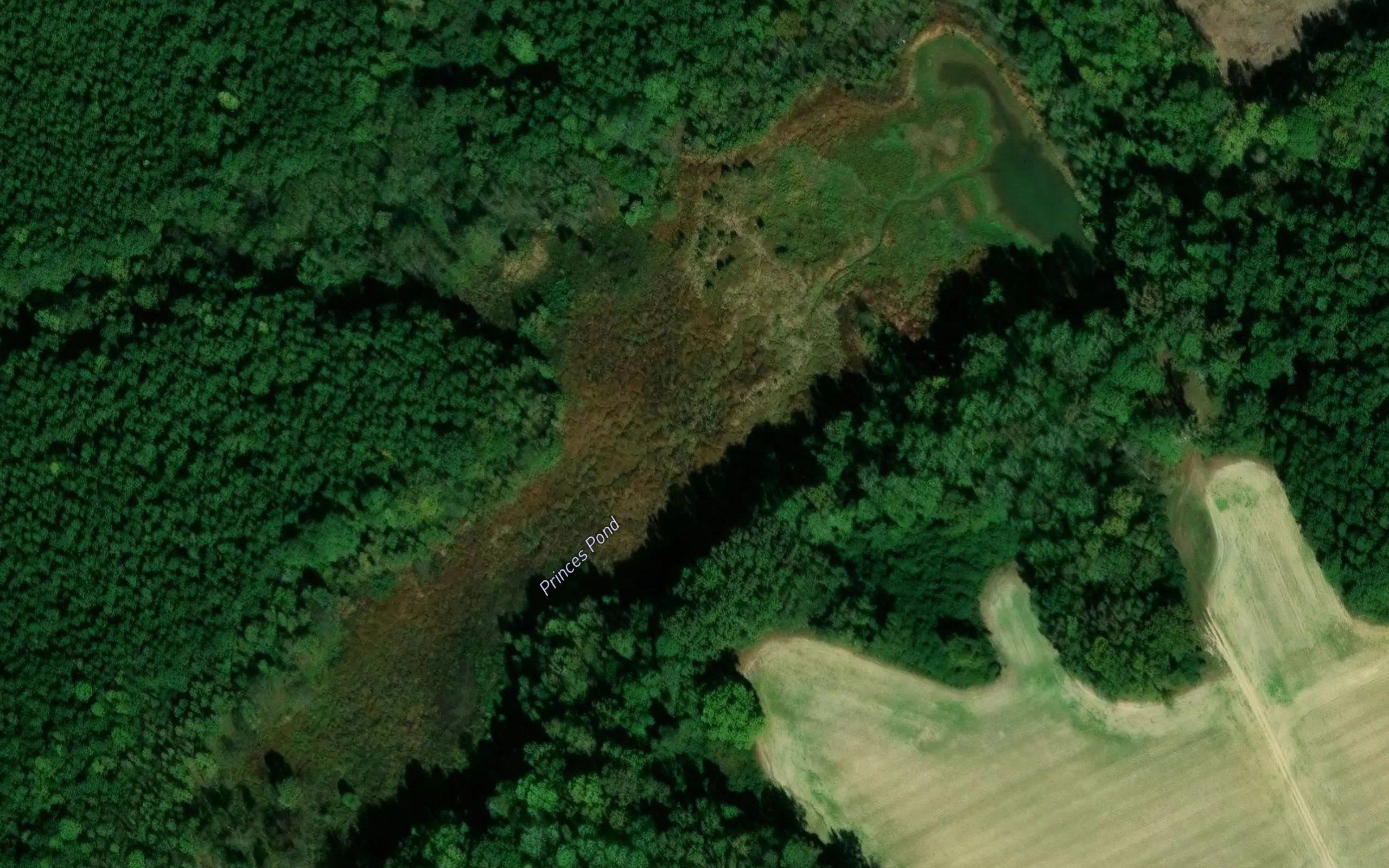 Princes Pond