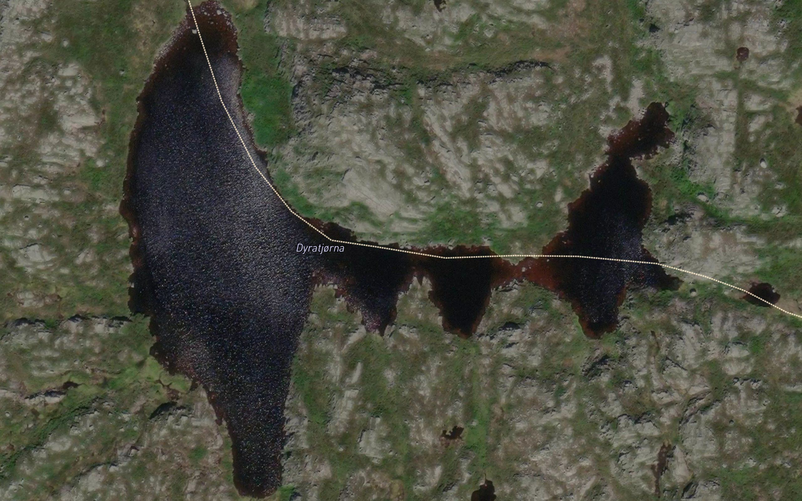 Dyratjorna