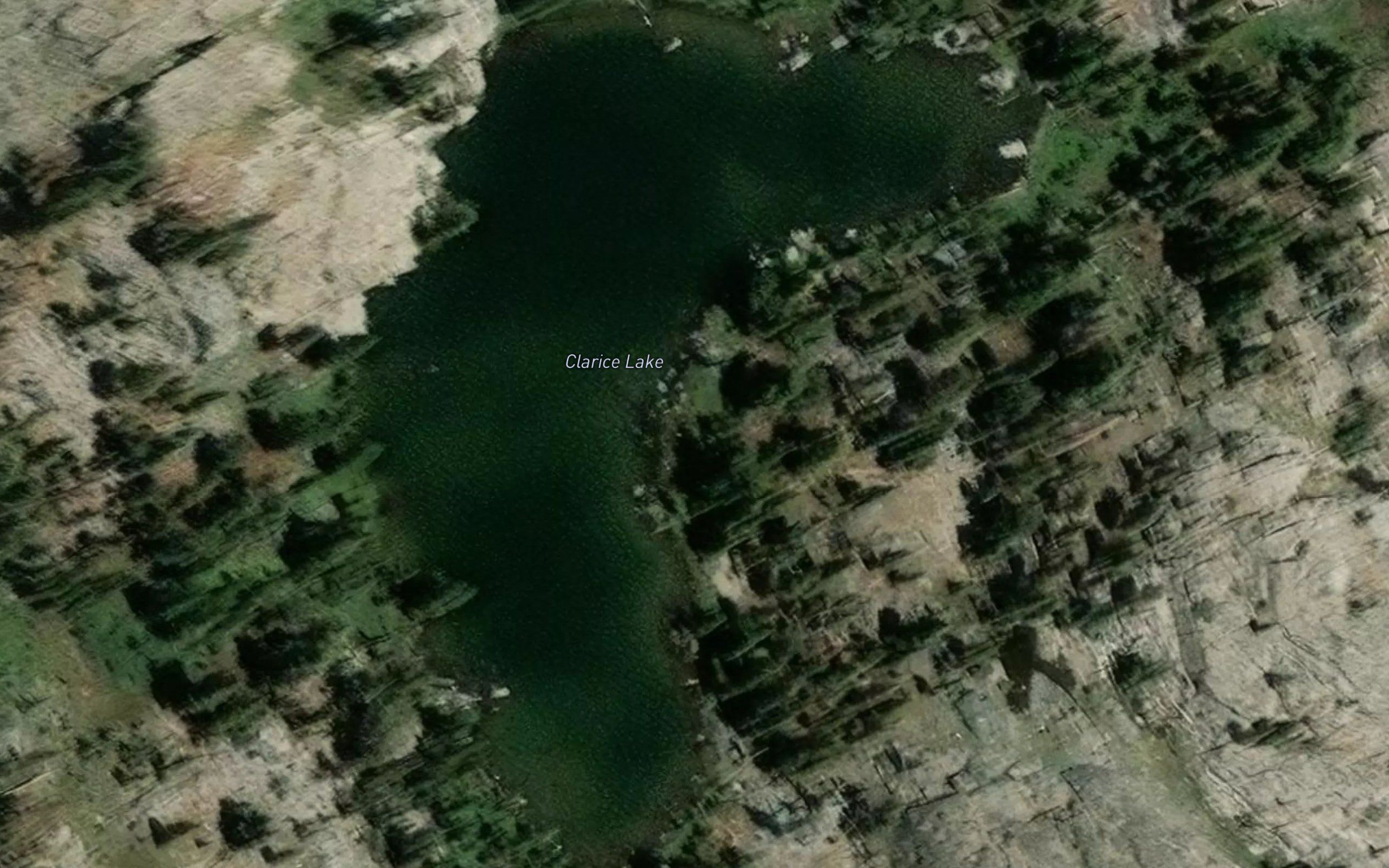 Clarice Lake