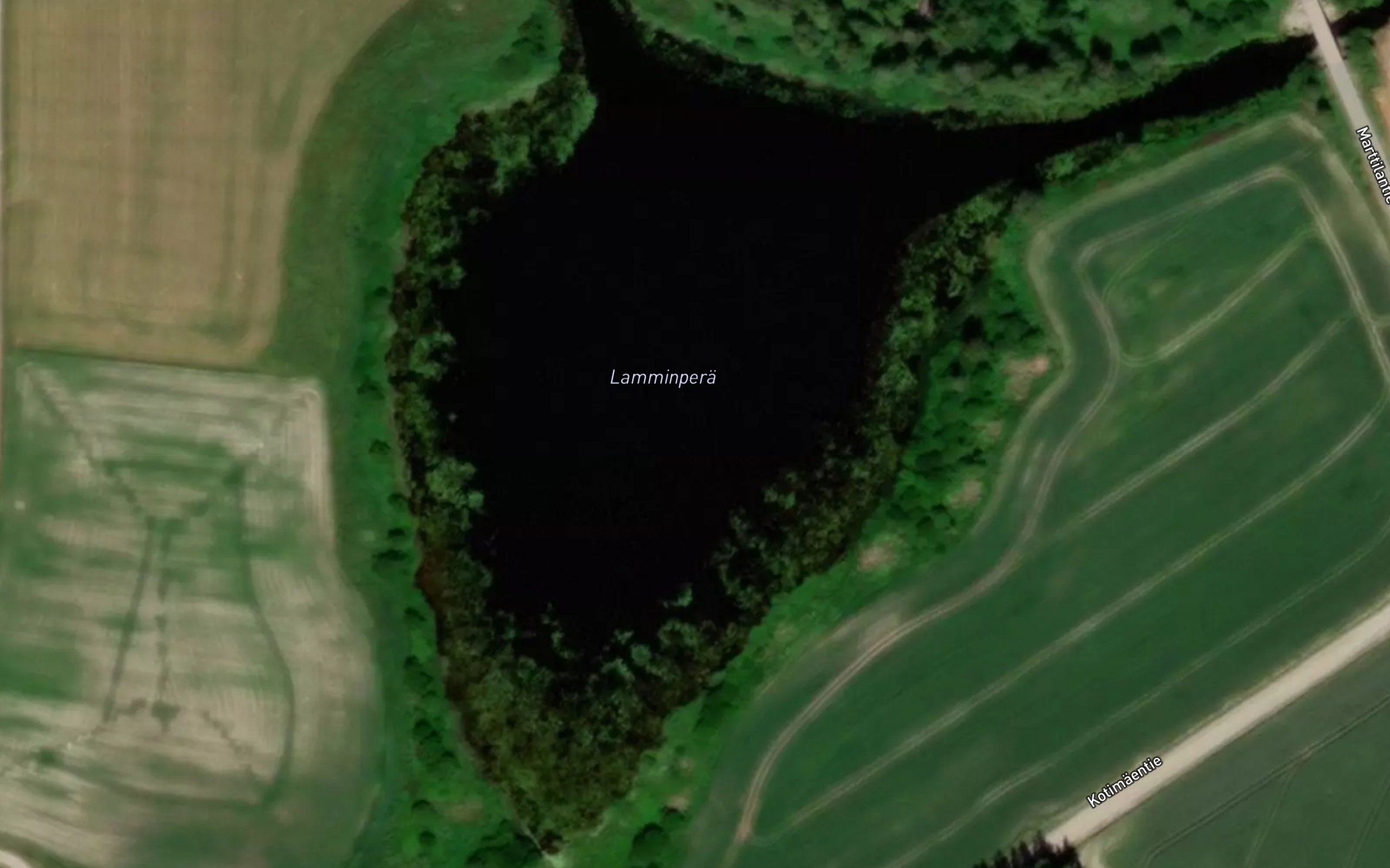 Lamminpera