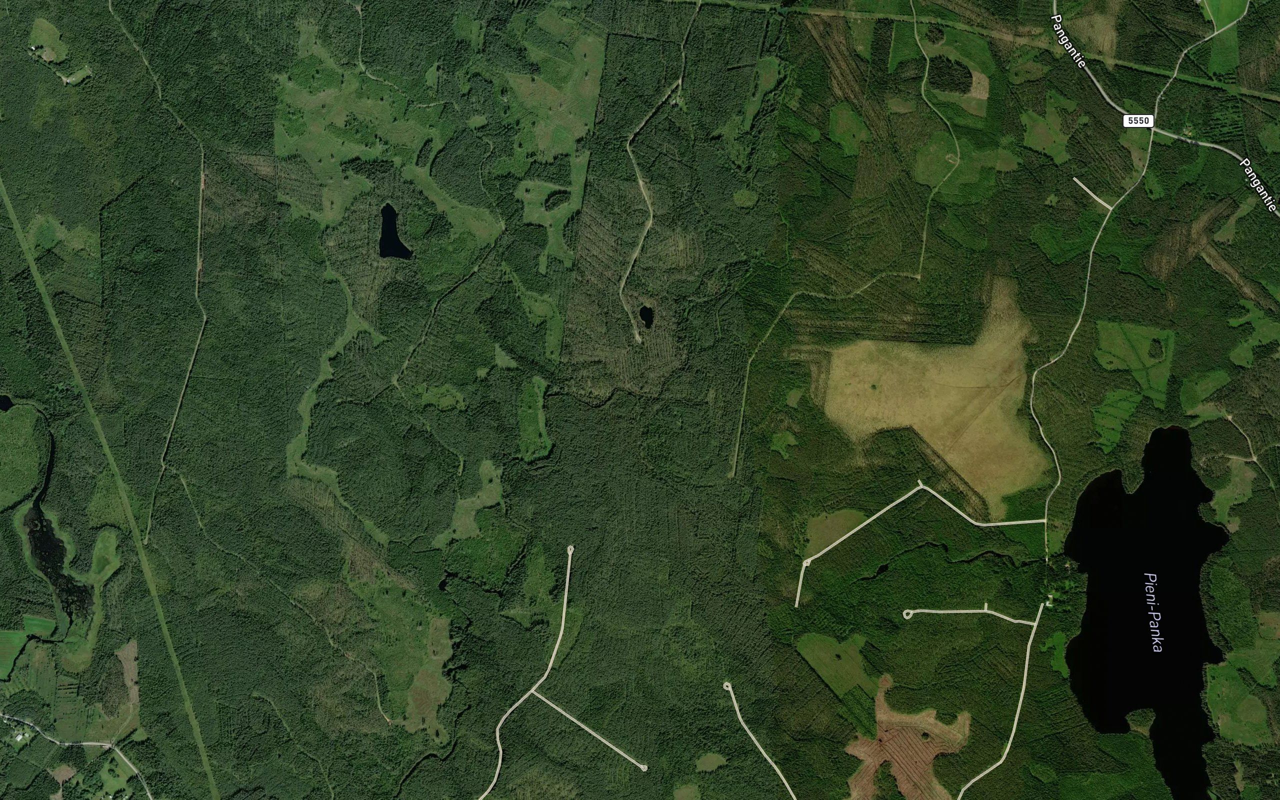 Pajusjoki