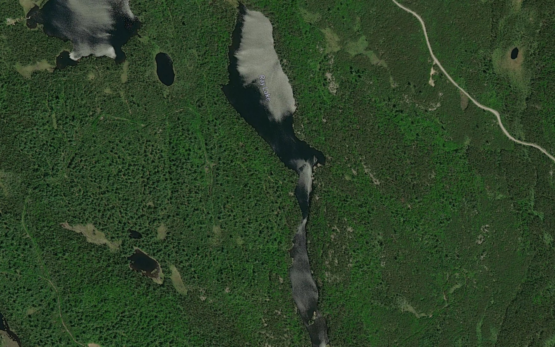 Satellite map of the Ray Lake