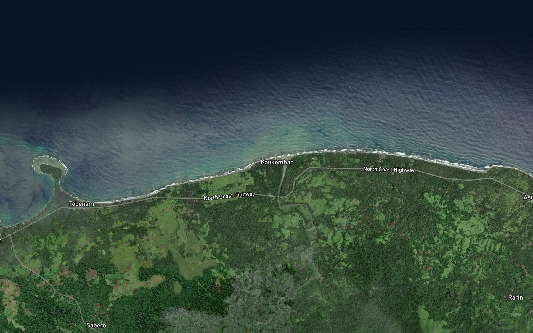 Satellite map of the Toto River