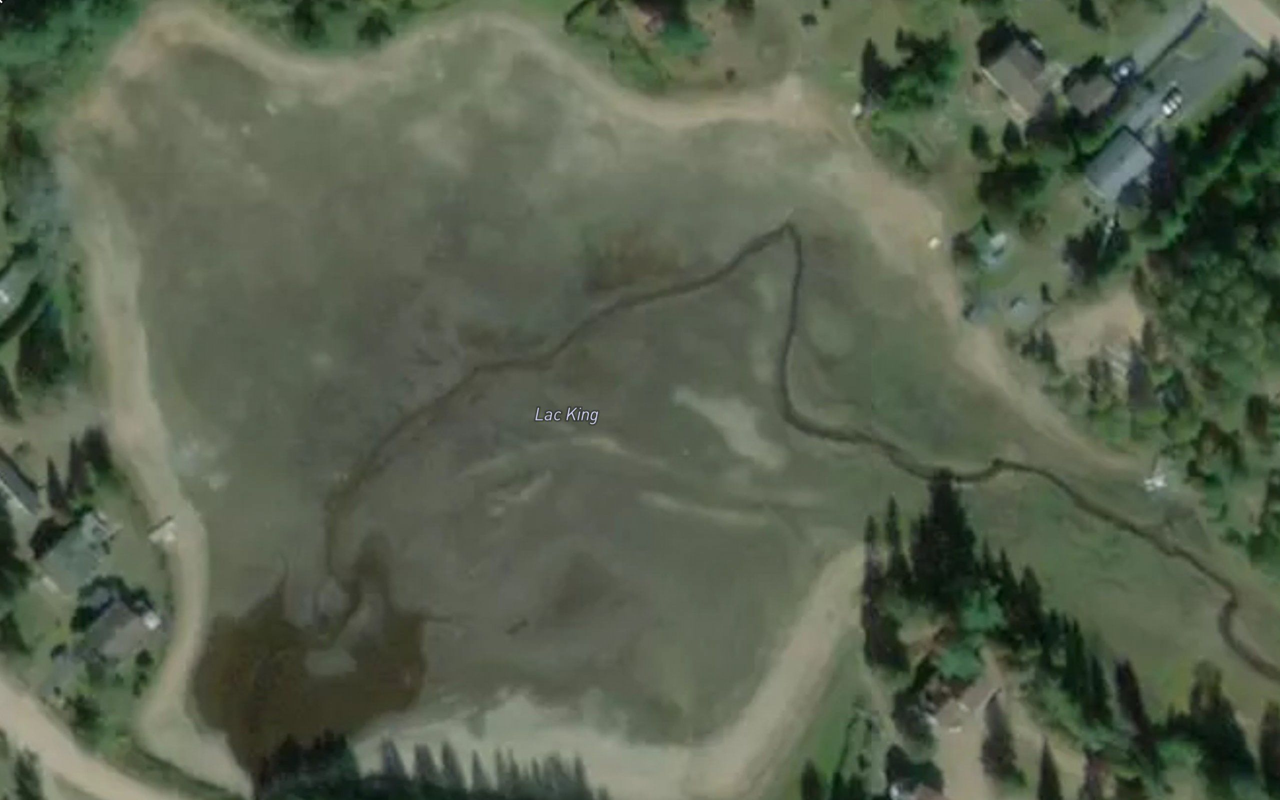 Lac King