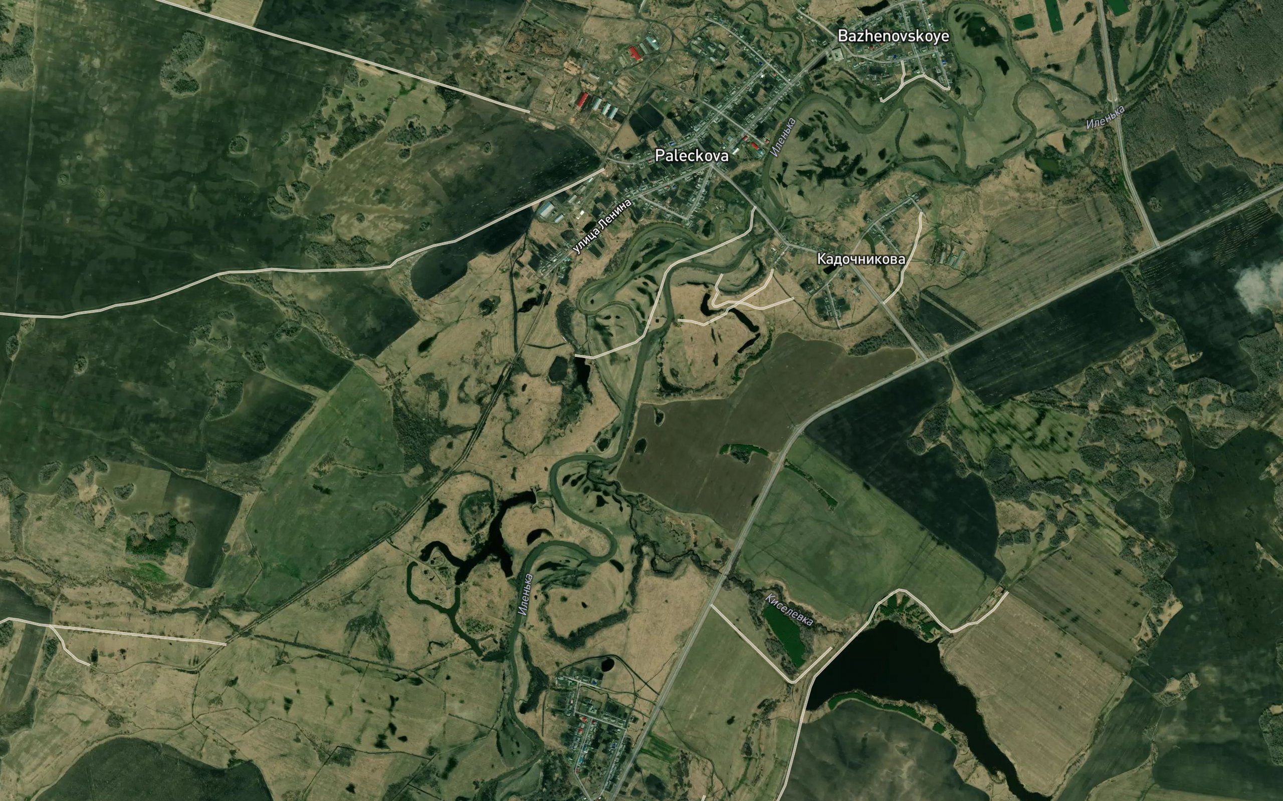 Kiselevka