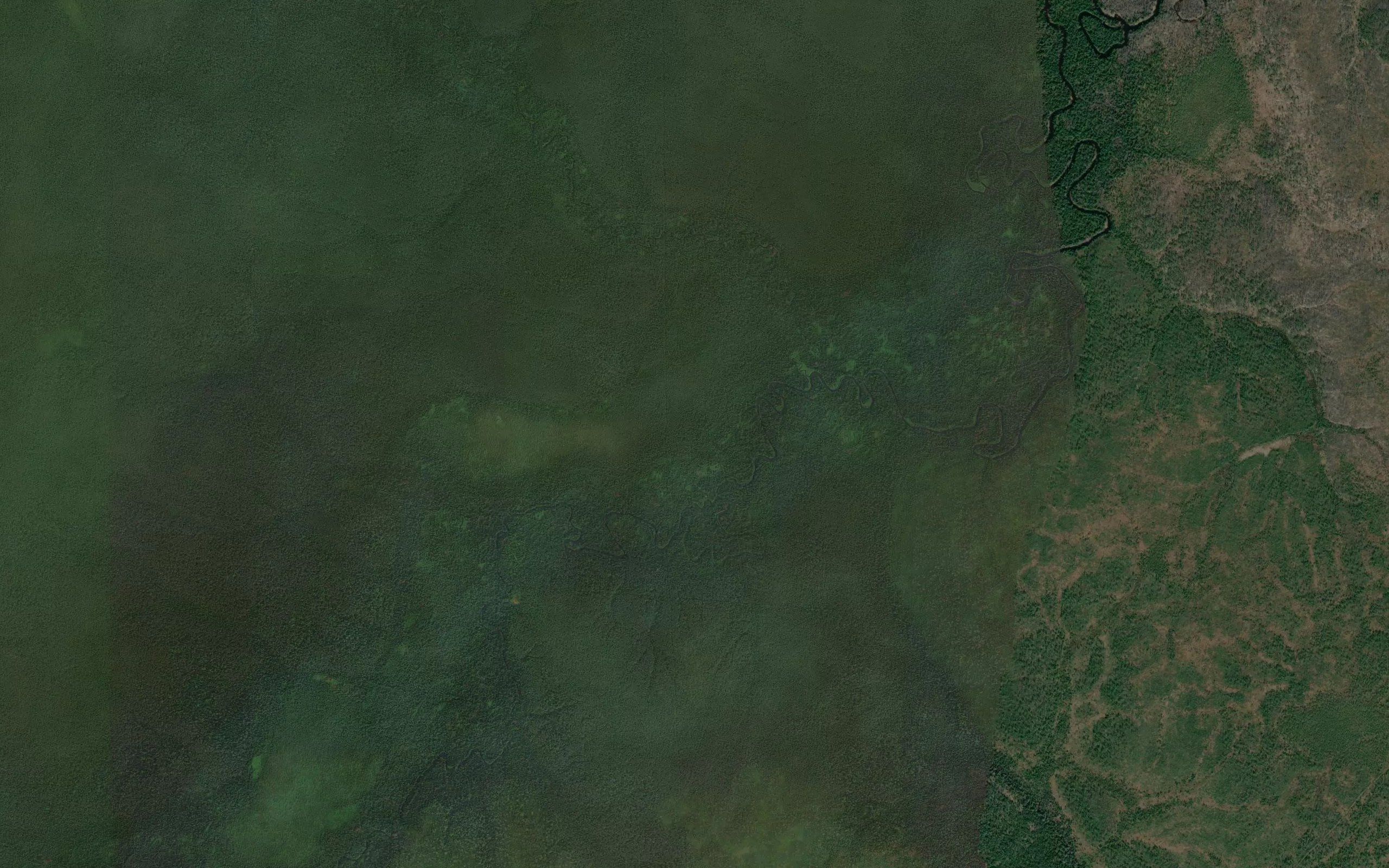 Sukhmutpokurigl'