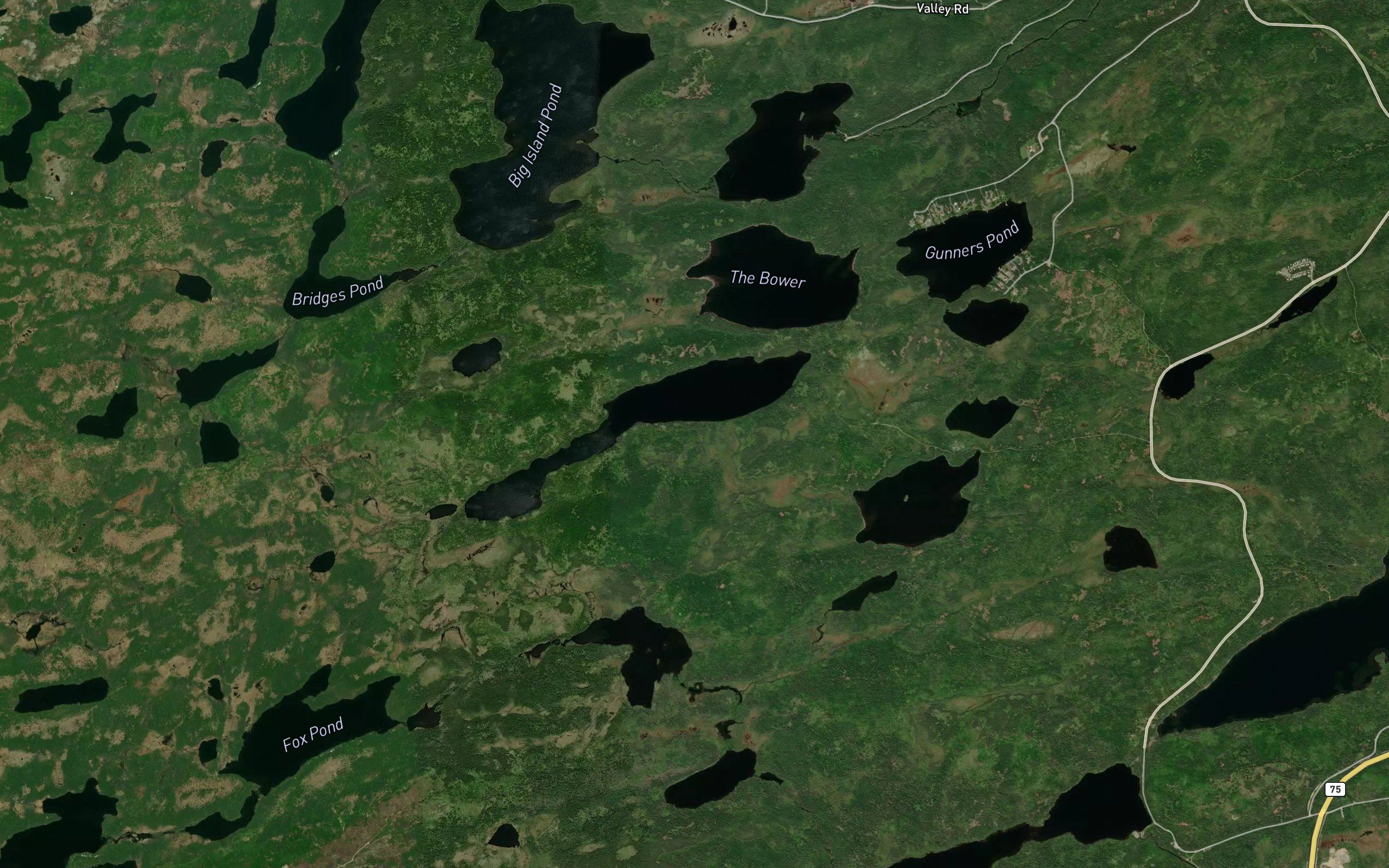 Carbonear Long Pond