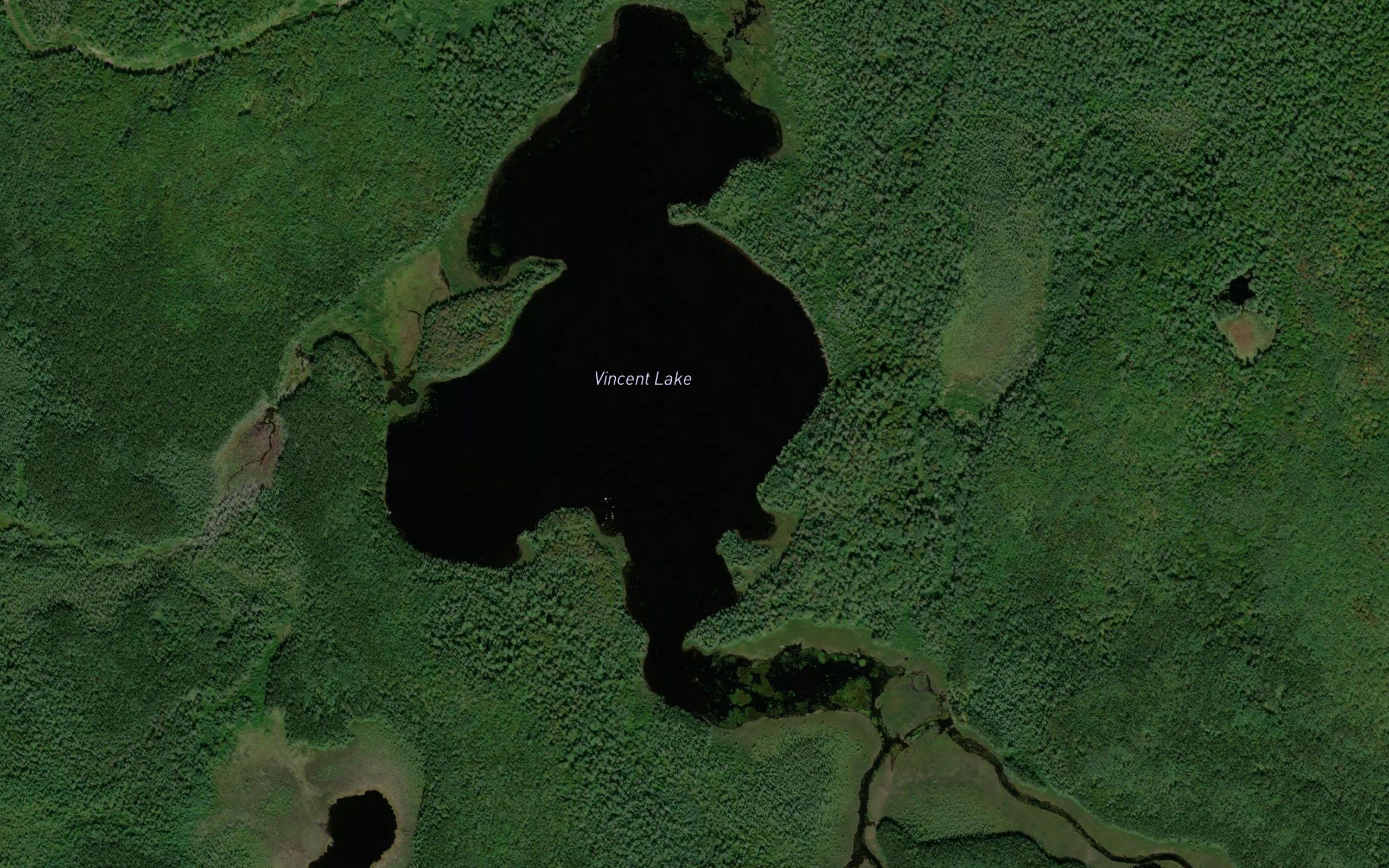 Vincent Lake