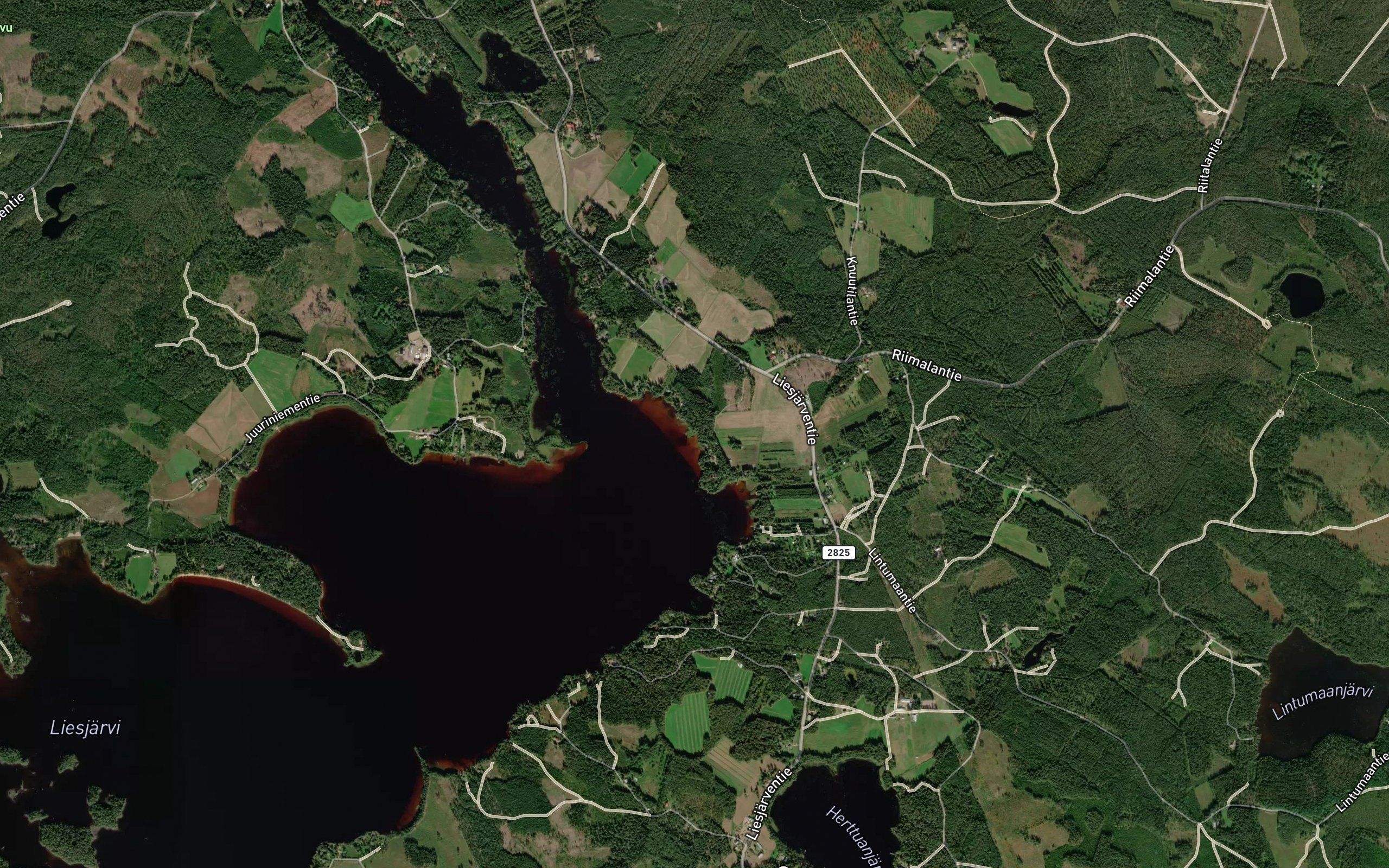 Kauhaoja