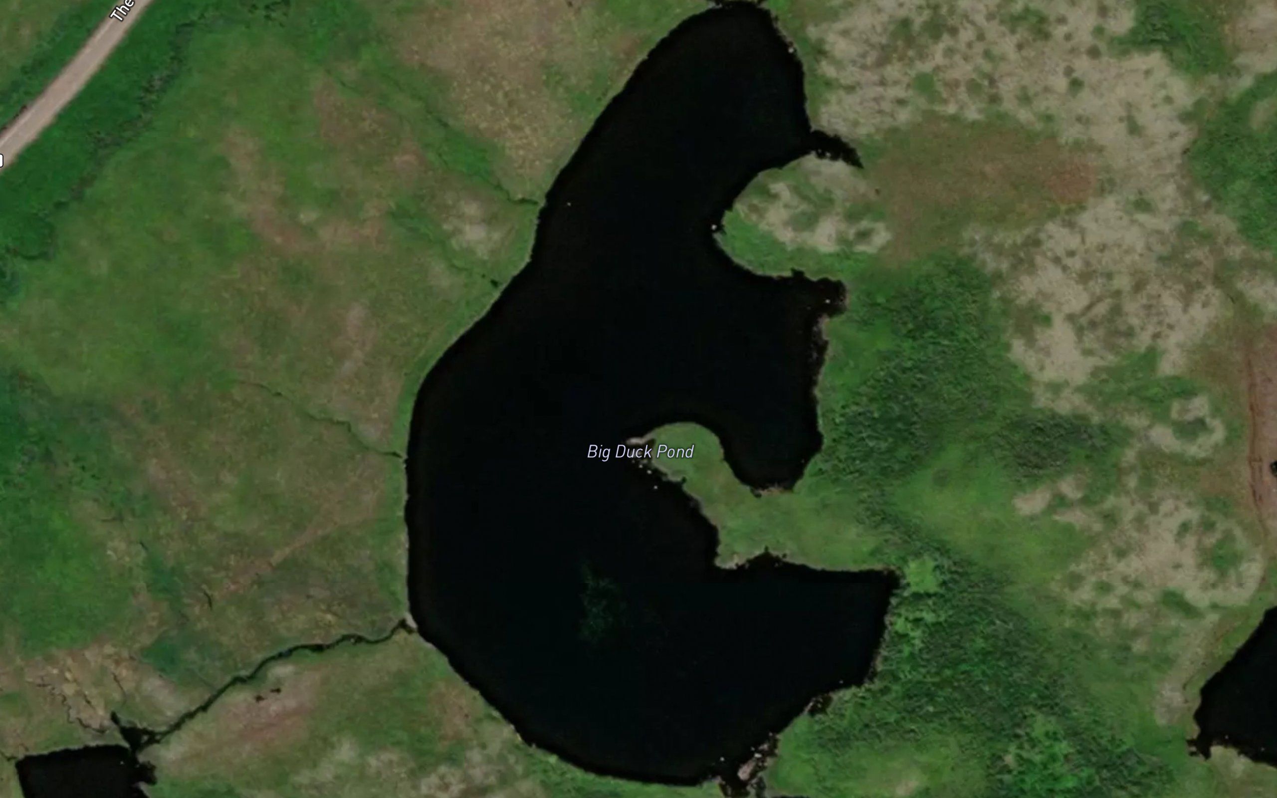 Big Duck Pond