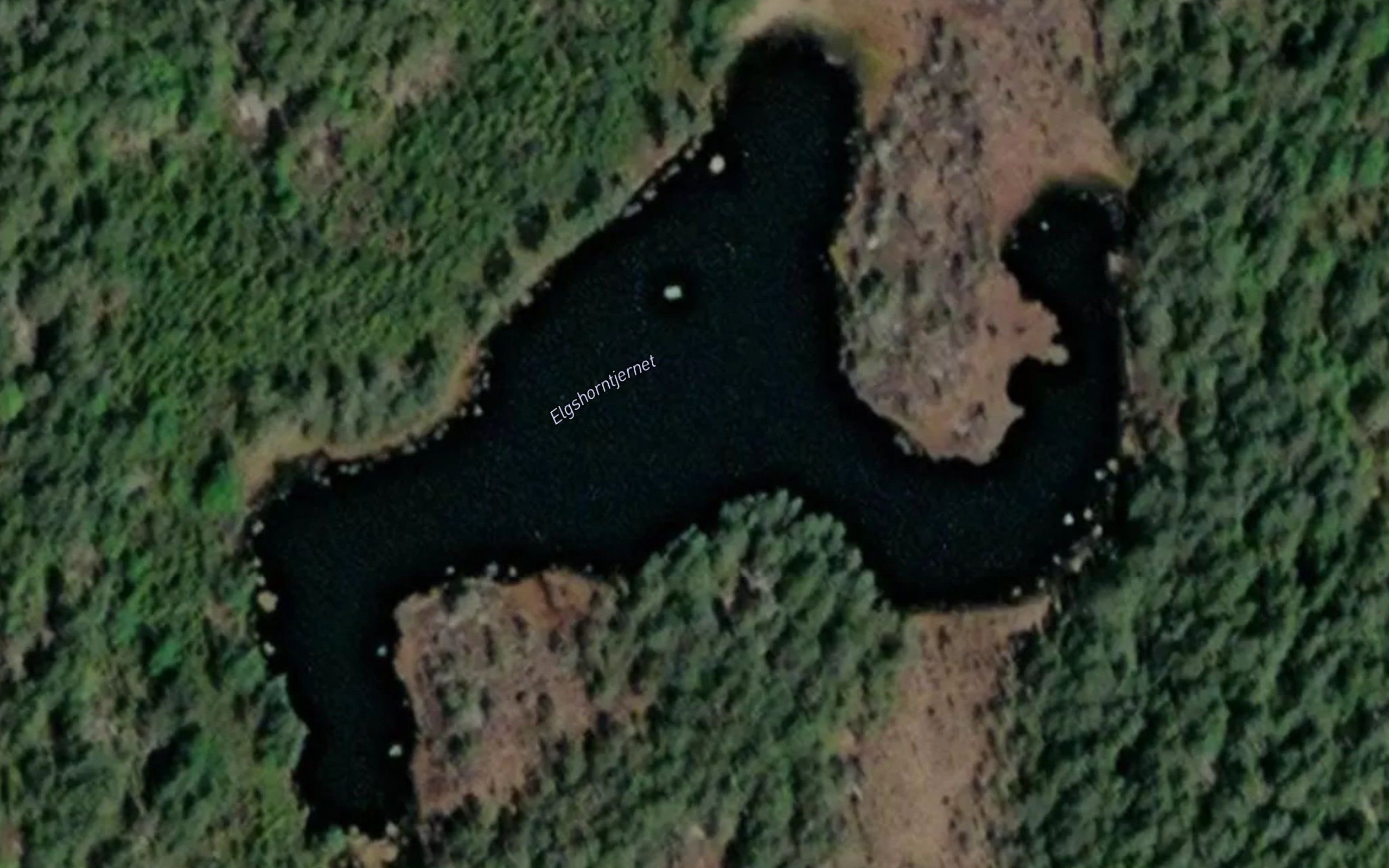 Elgshorntjern