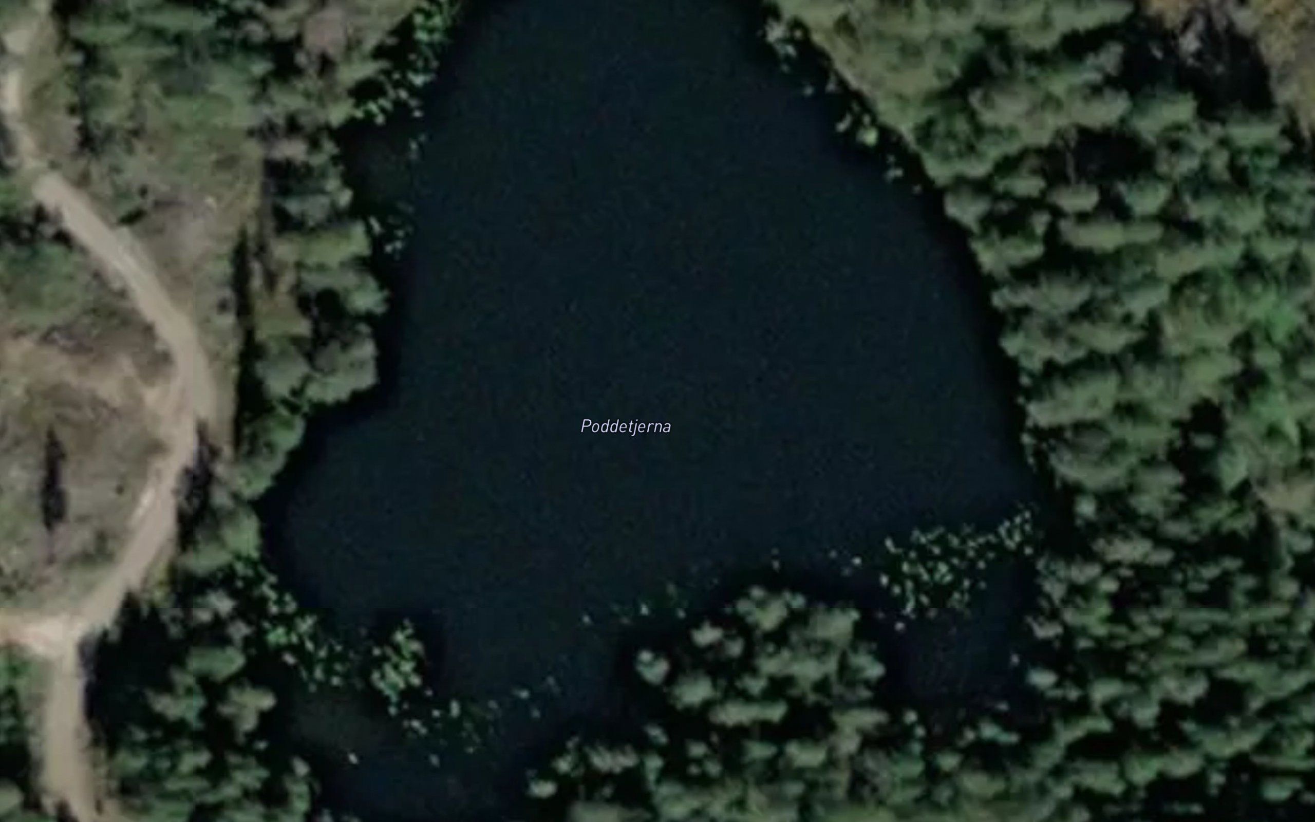 Poddetjerna