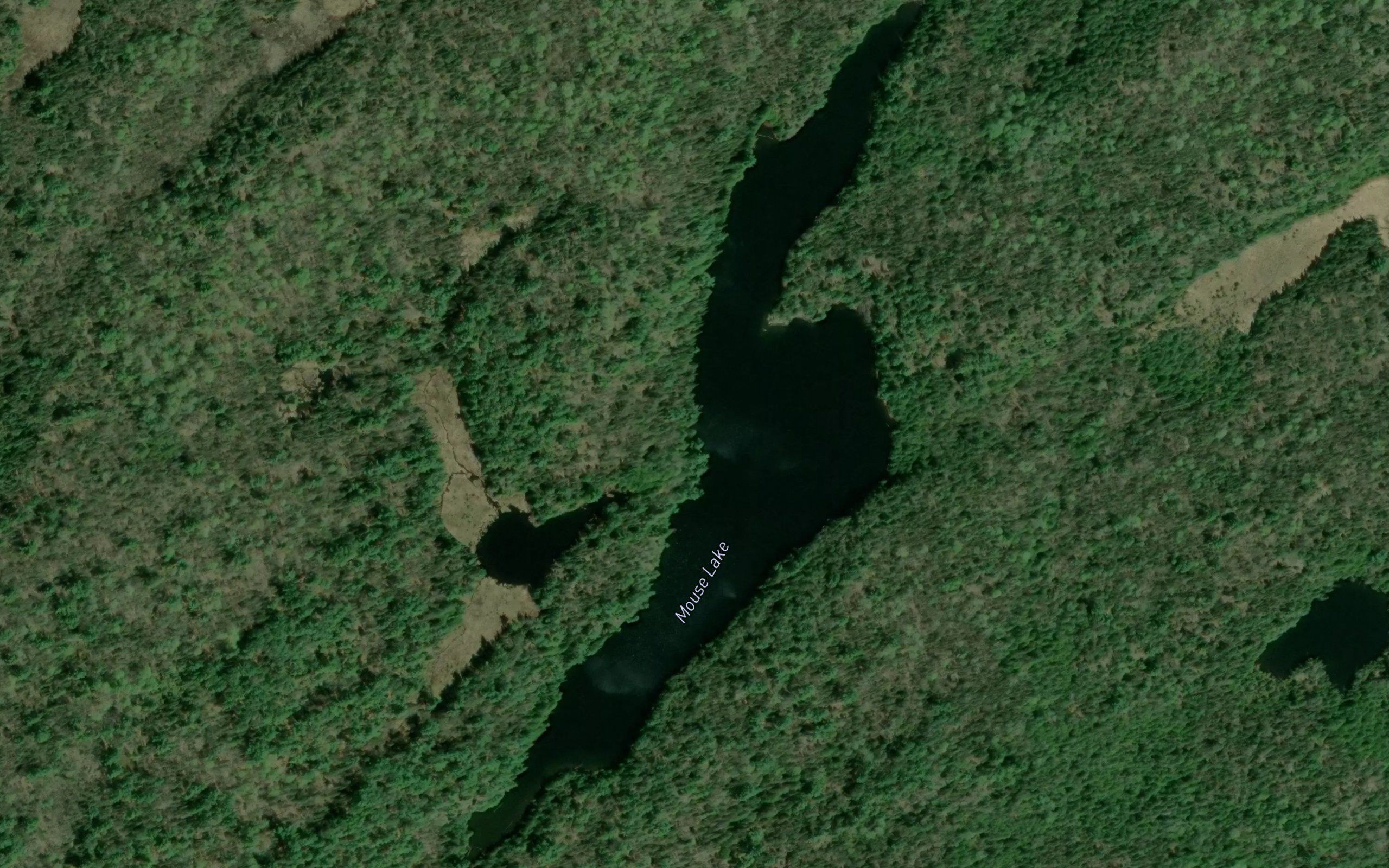 Mouse Lake
