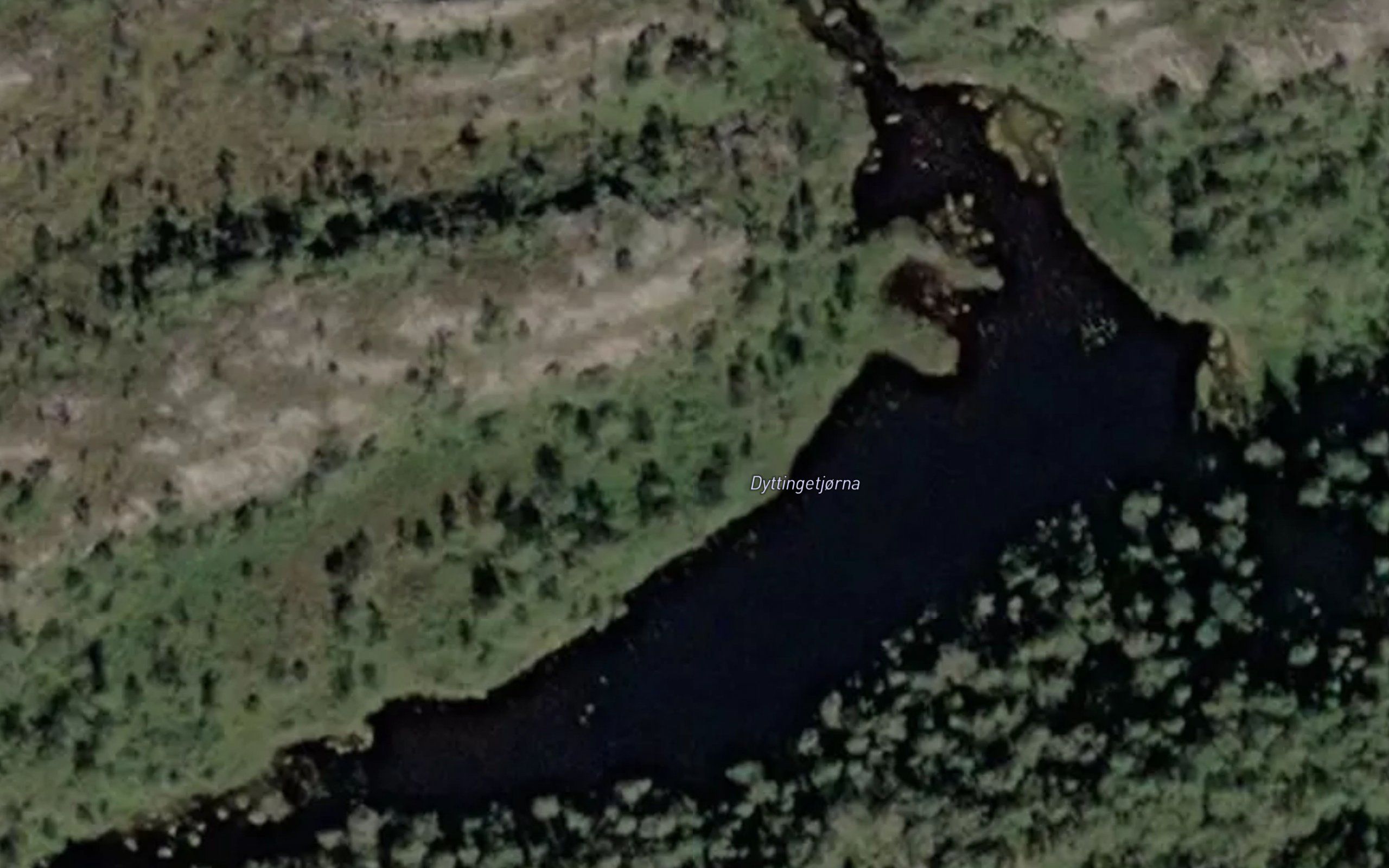 Dyttingetjorna