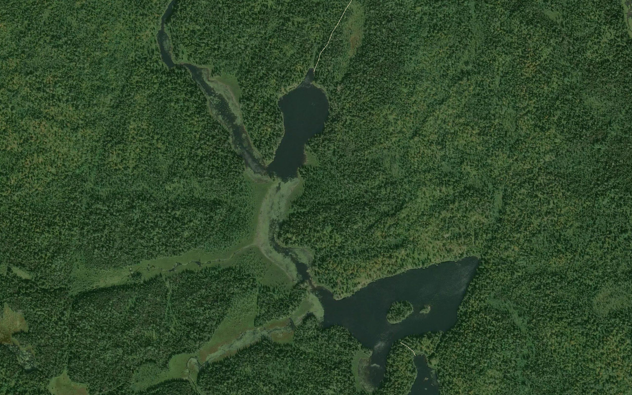 Whipped Lake
