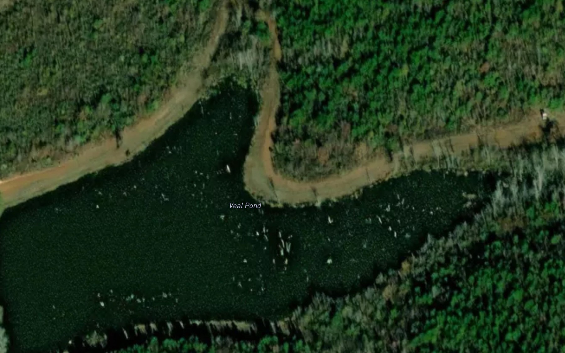 Satellite map of the Veal Pond