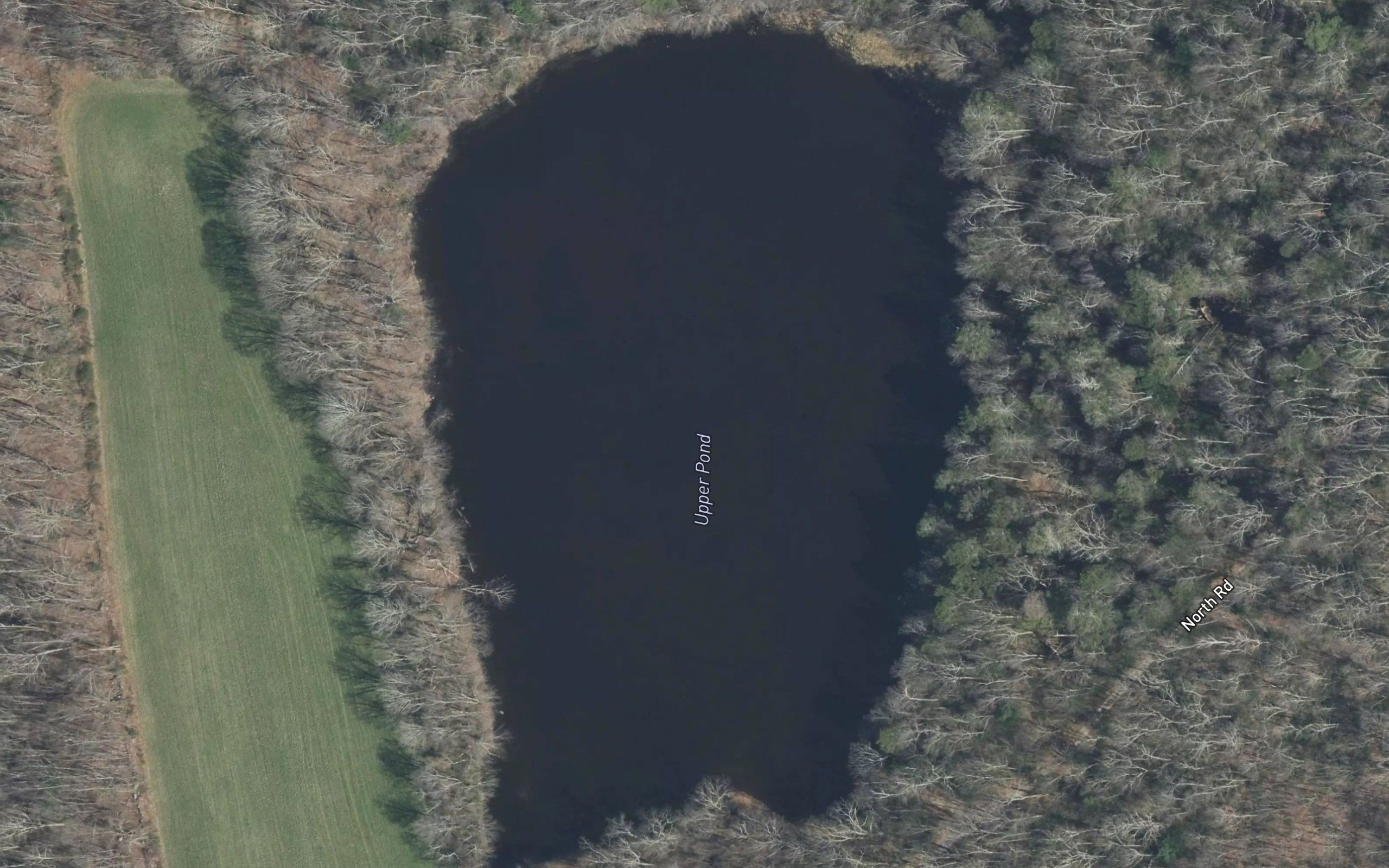 Upper Pond