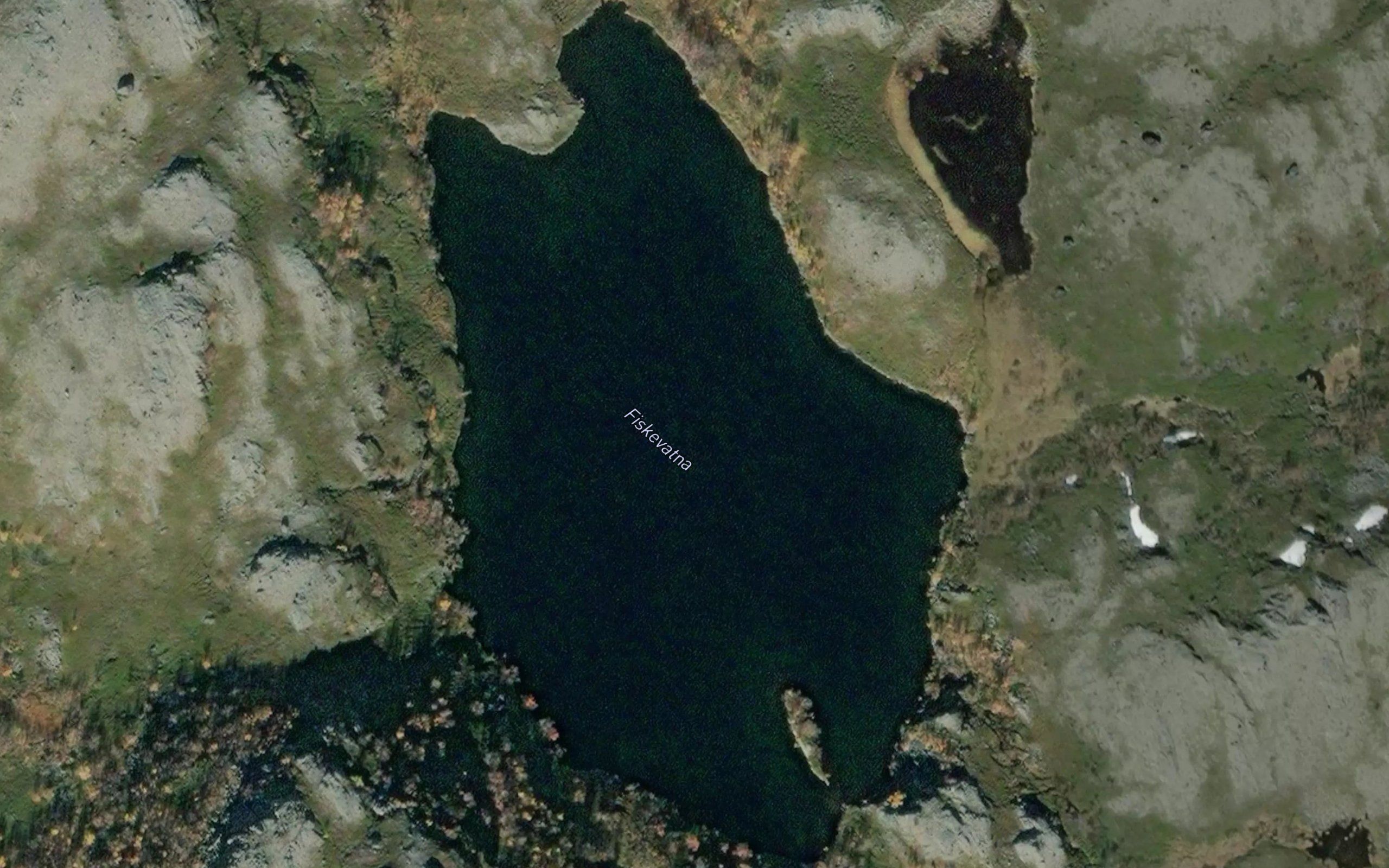 Fiskevatna