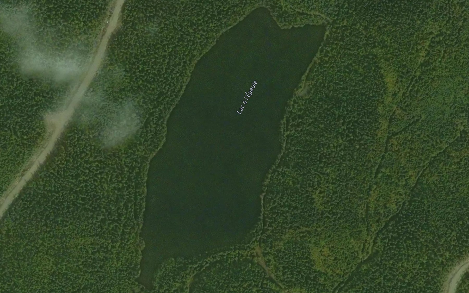 Satellite map of the Lac a l'Epaule