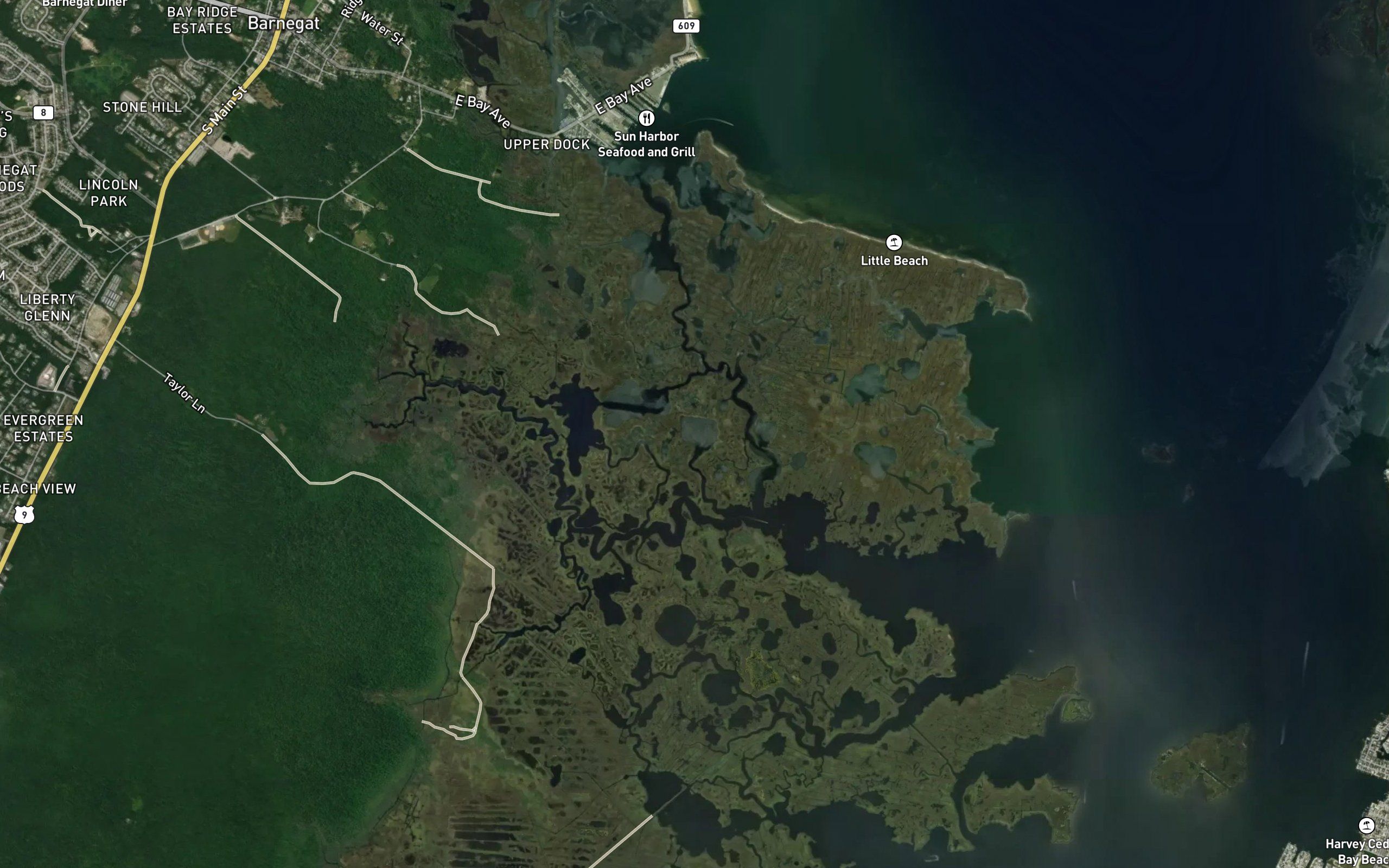 Harry Pond
