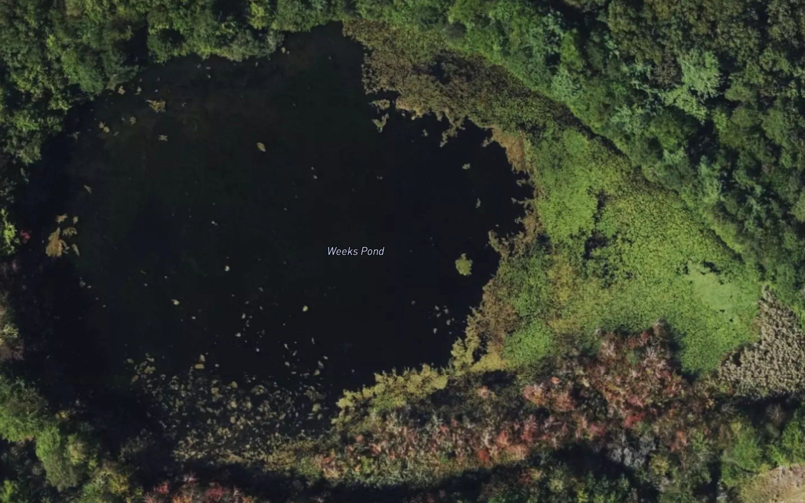 Weeks Pond