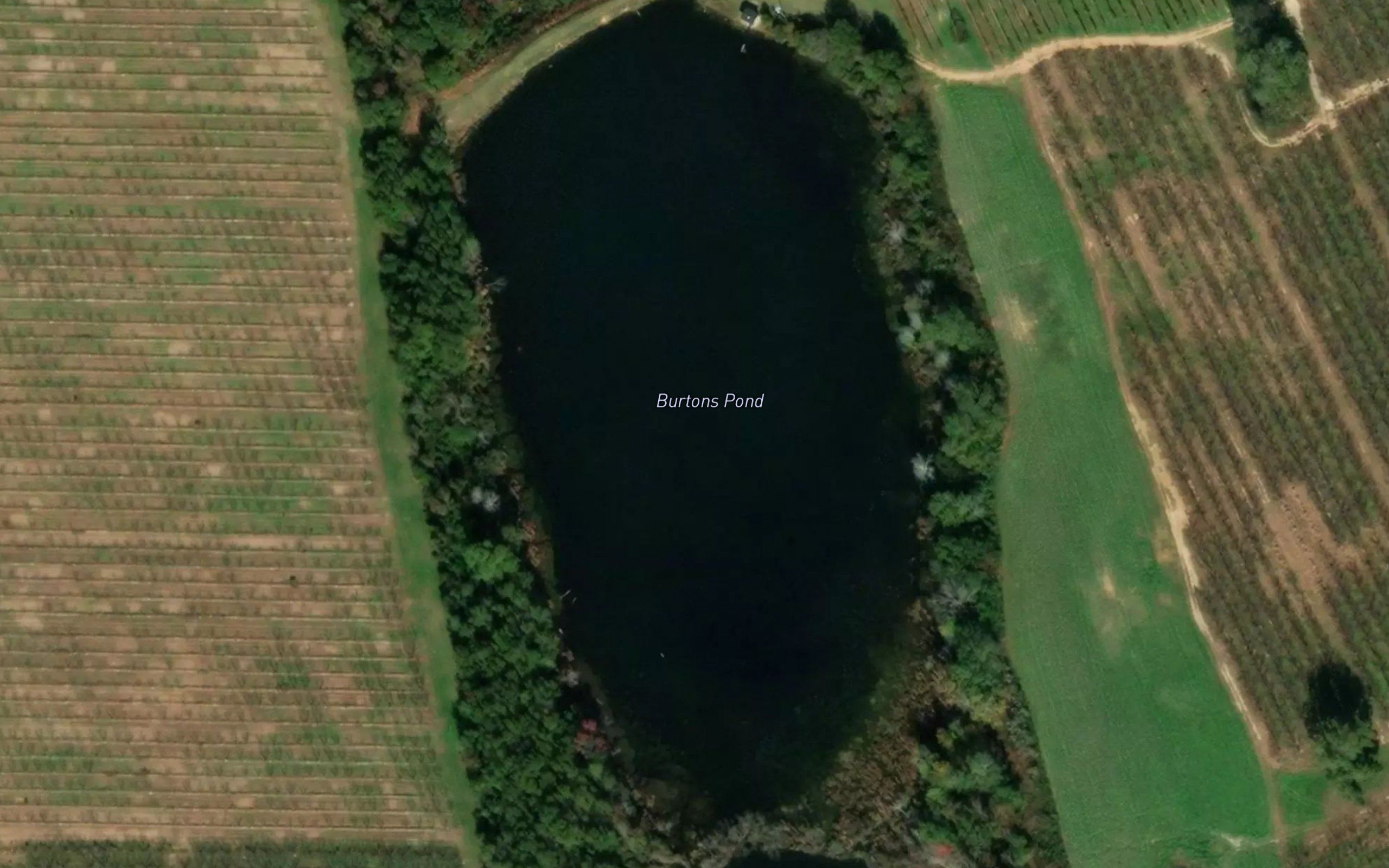 Burtons Pond