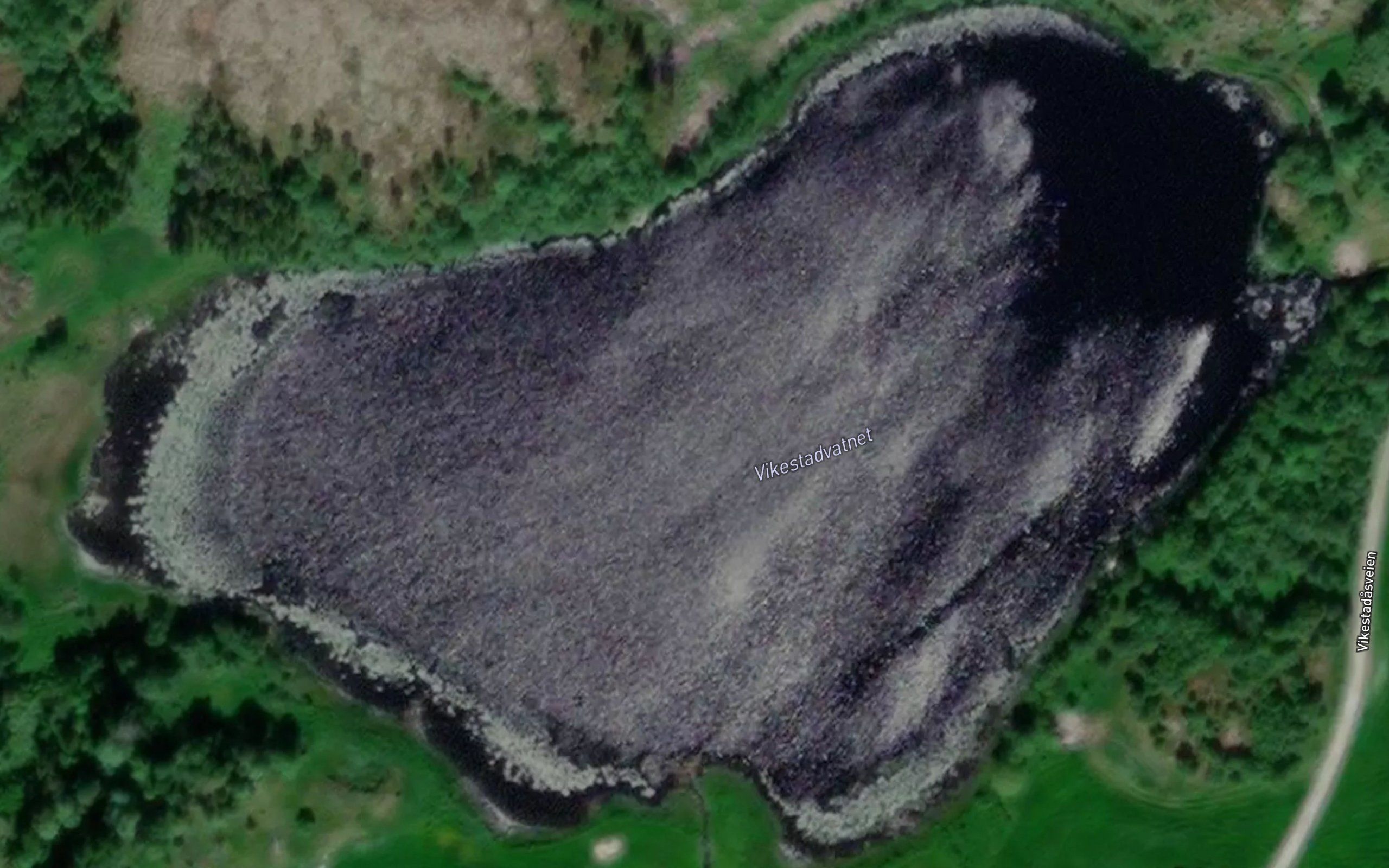 Vikestadvatnet