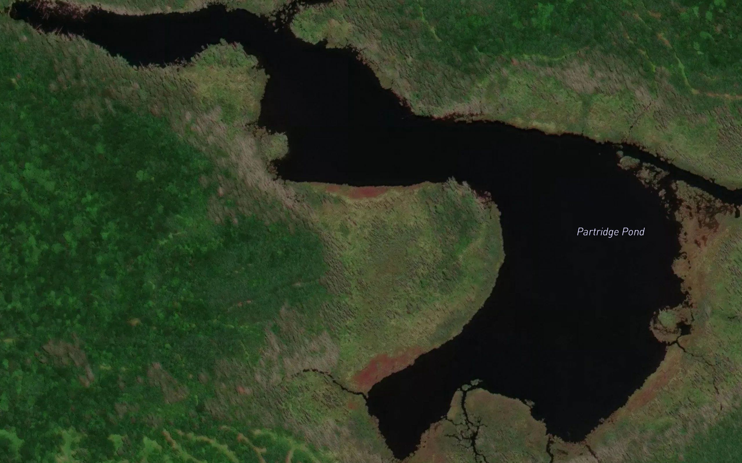 Partridge Pond