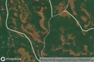 Fourth of July Spring