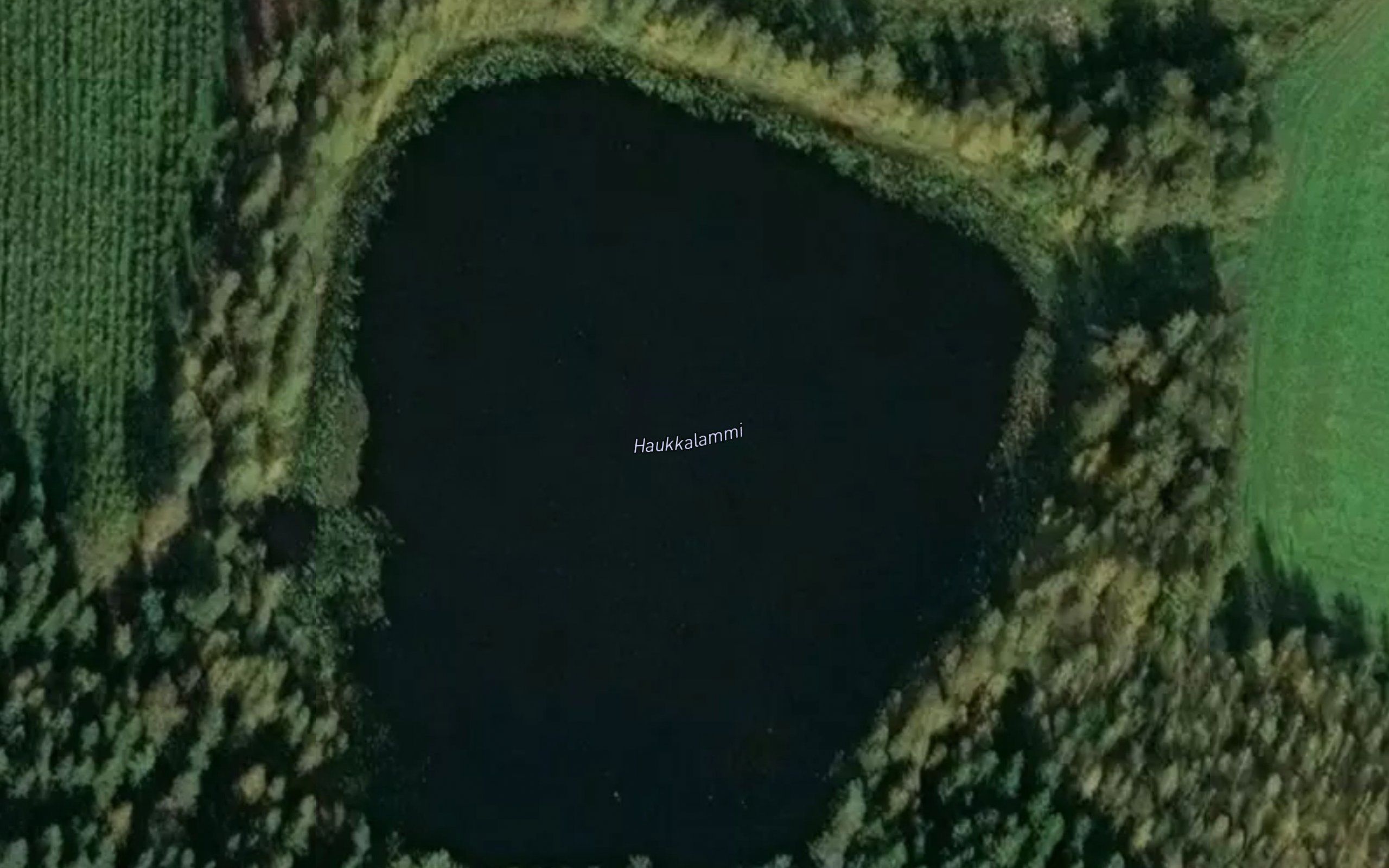 Haukkalammi