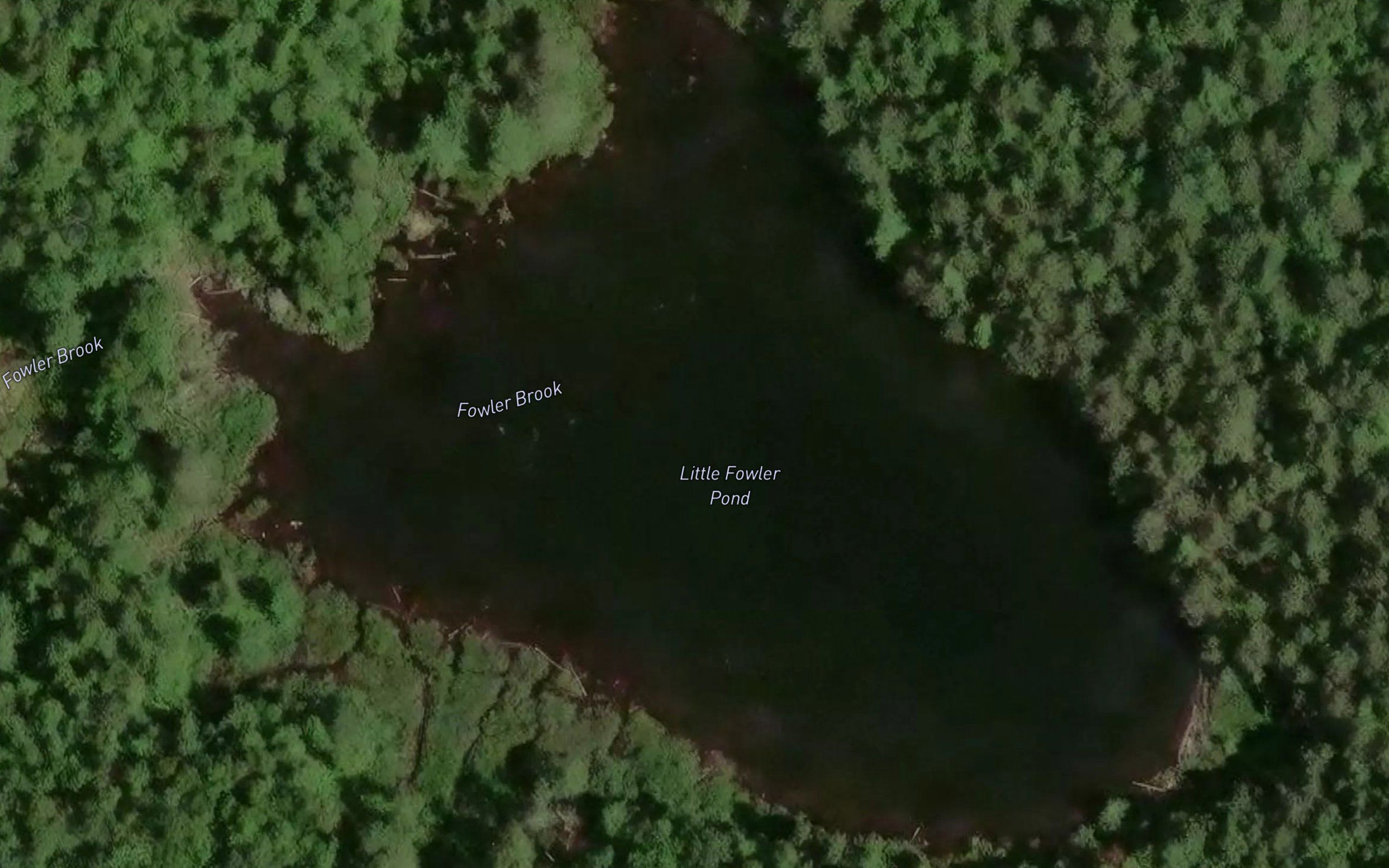 Little Fowler Pond
