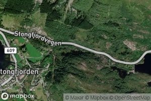 Stongselva