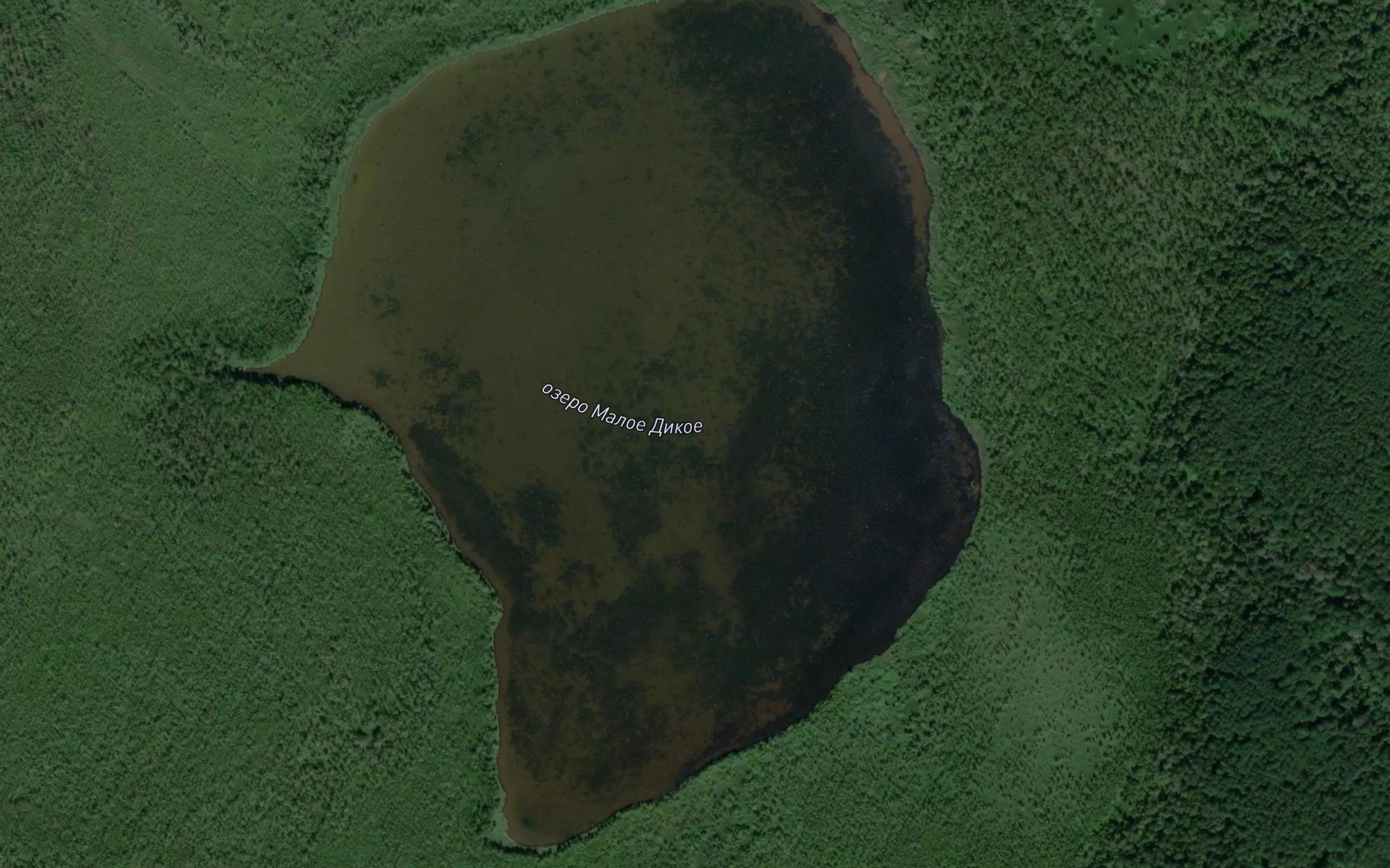 Ozero Maloye Dikoye