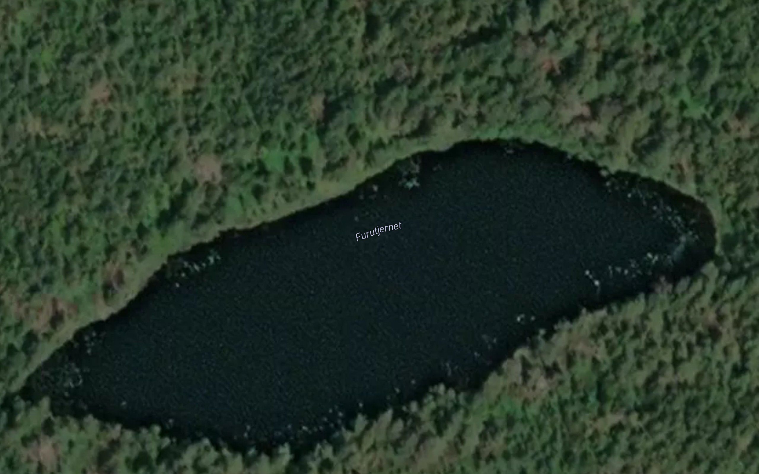 Furutjernet