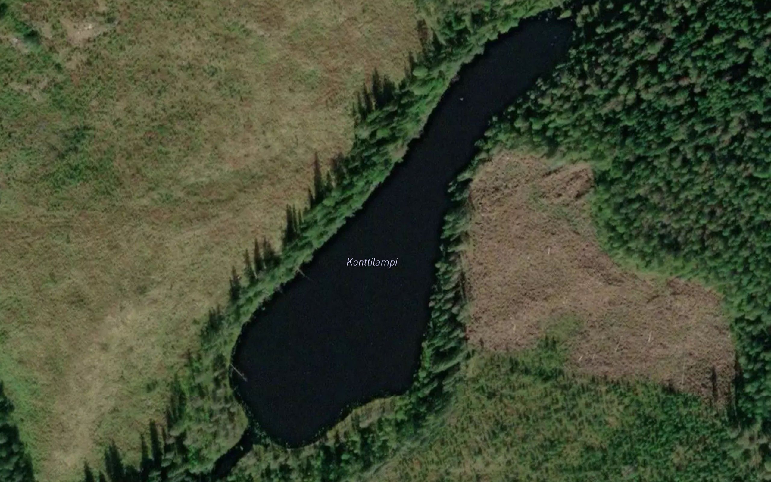 Konttilampi
