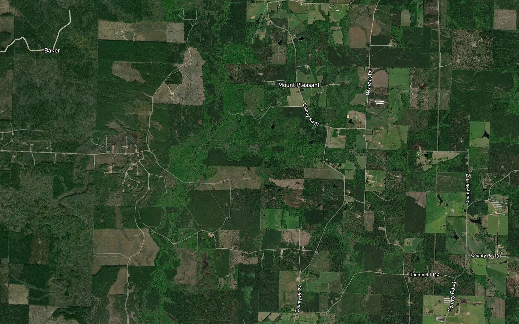Satellite map of the Cook Branch