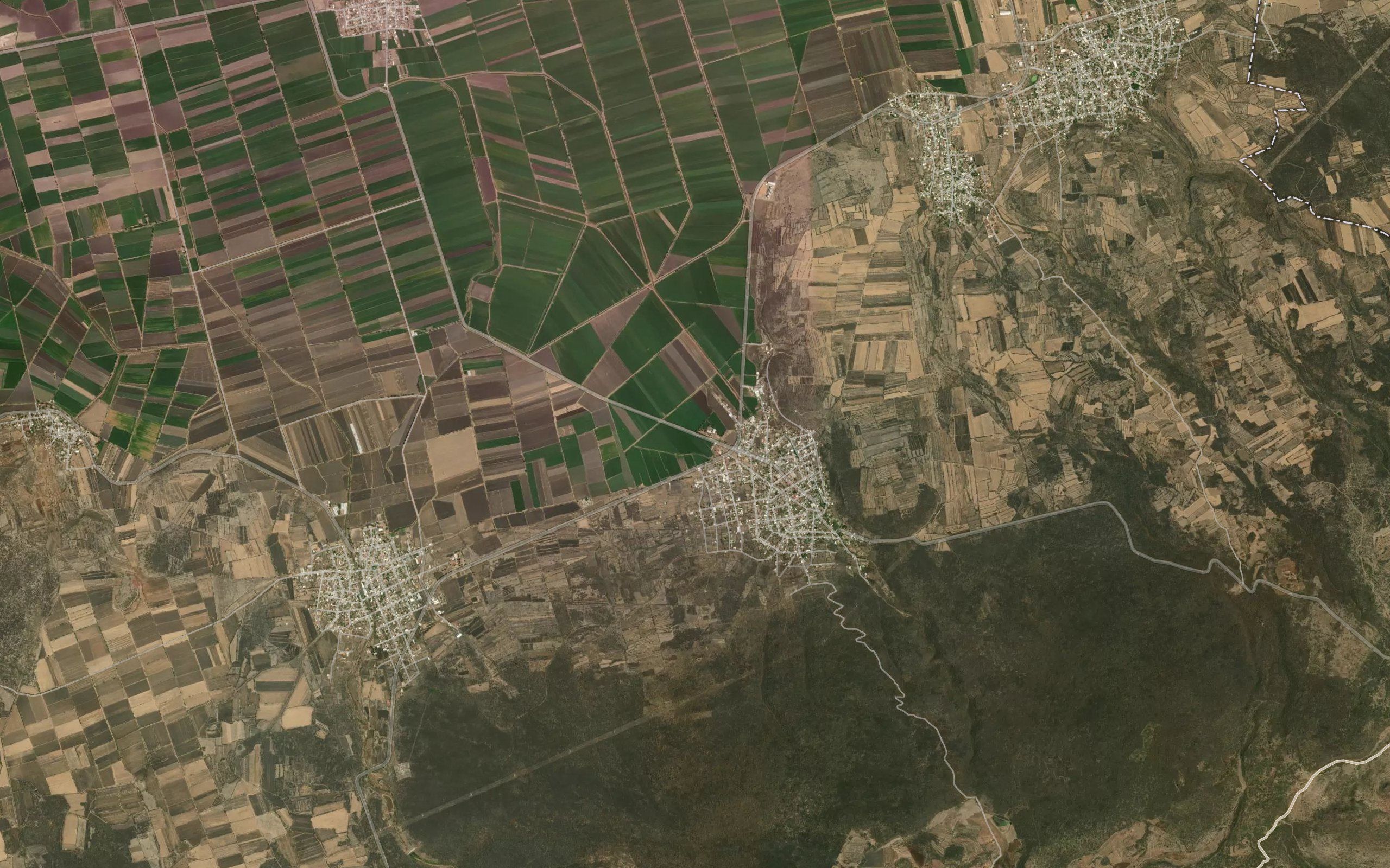 Carrizo