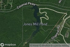 Jones Millpond