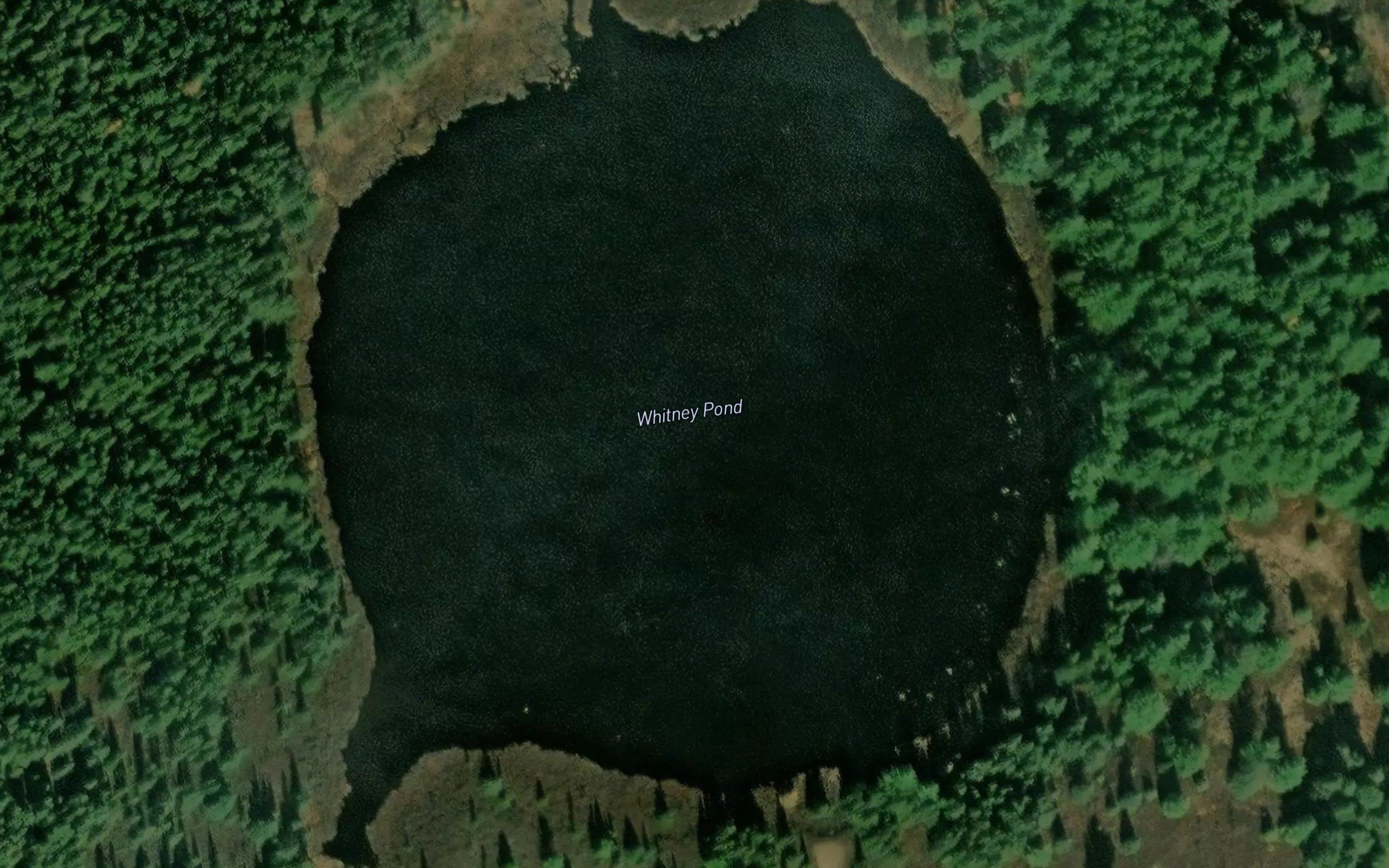 Whitney Pond