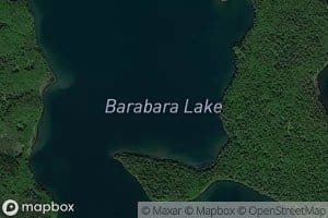 Barbara Lake