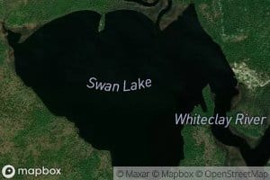 Swan Lake