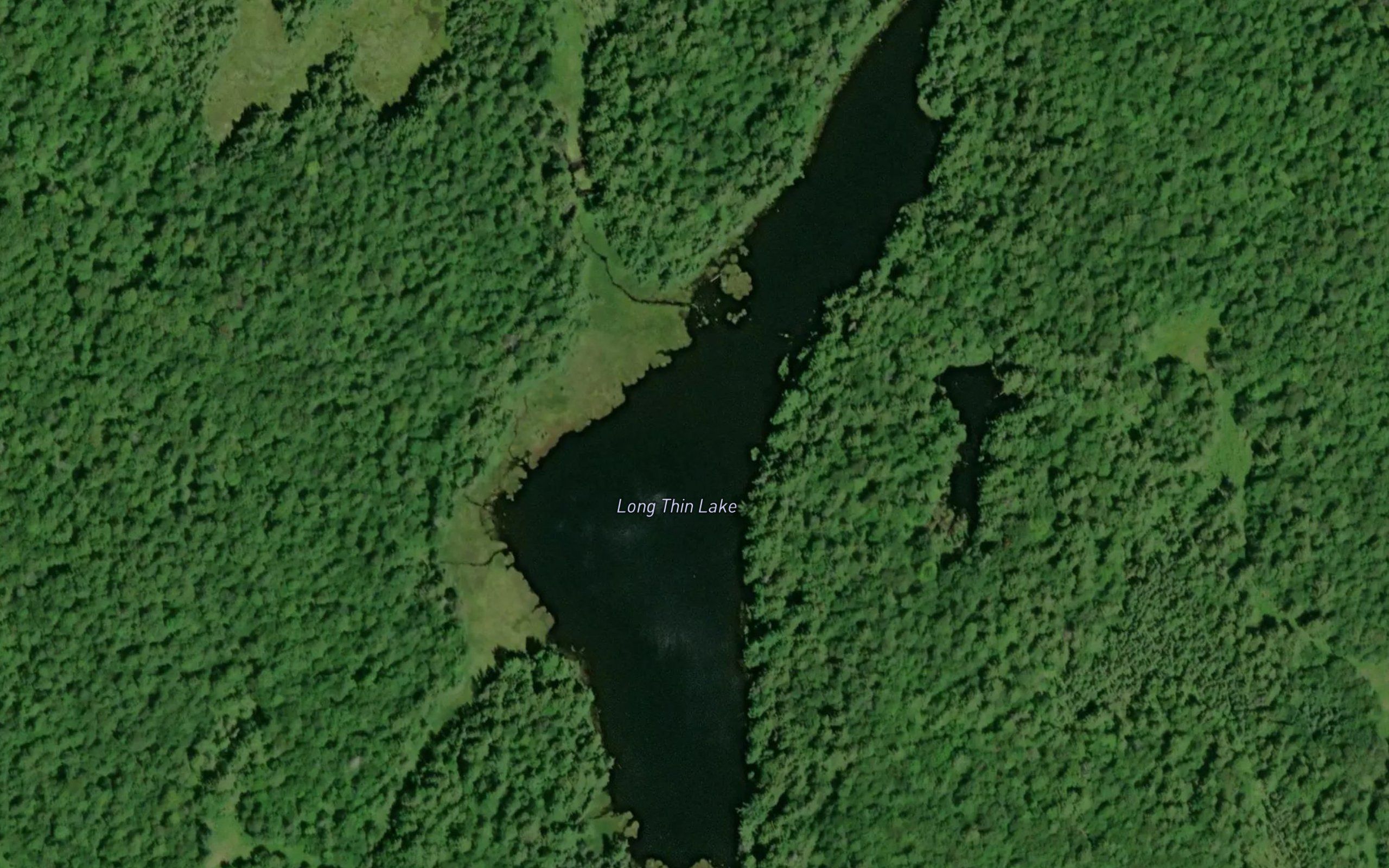 Long Thin Lake