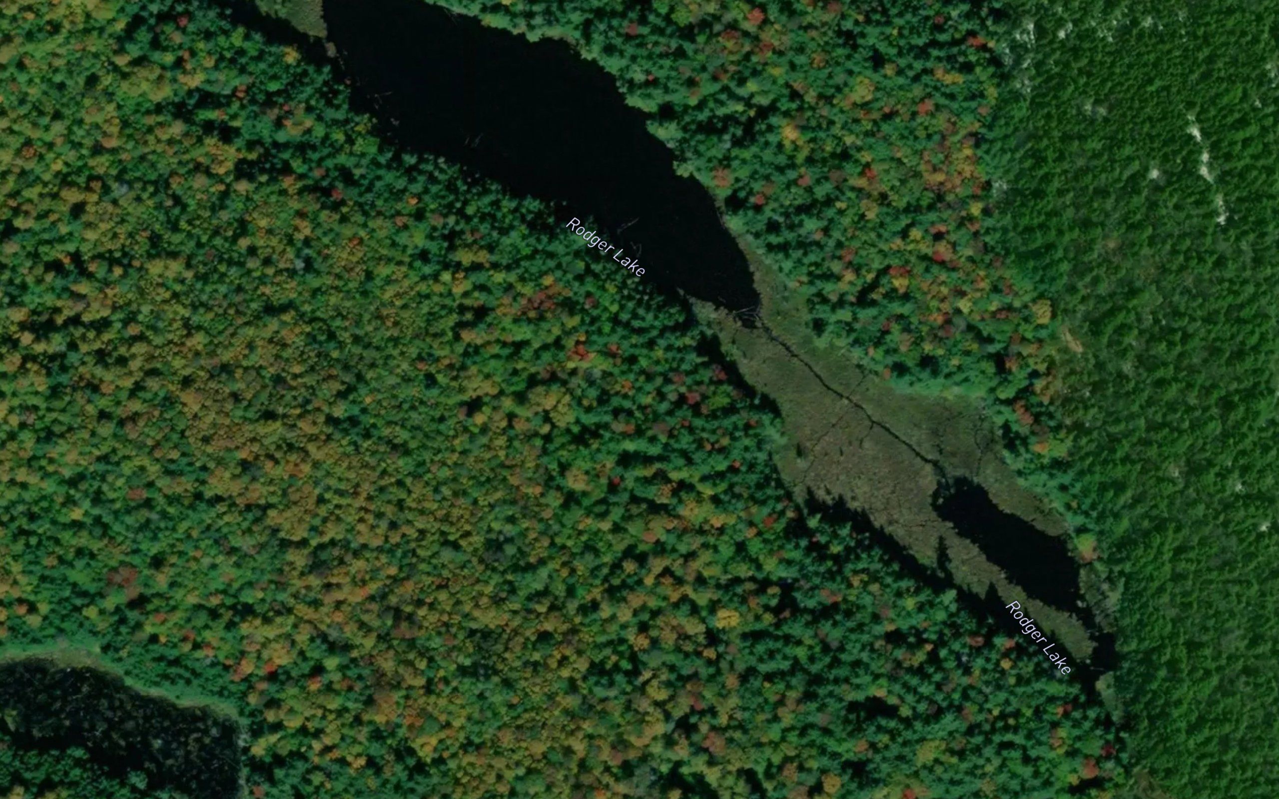 Rodger Lake