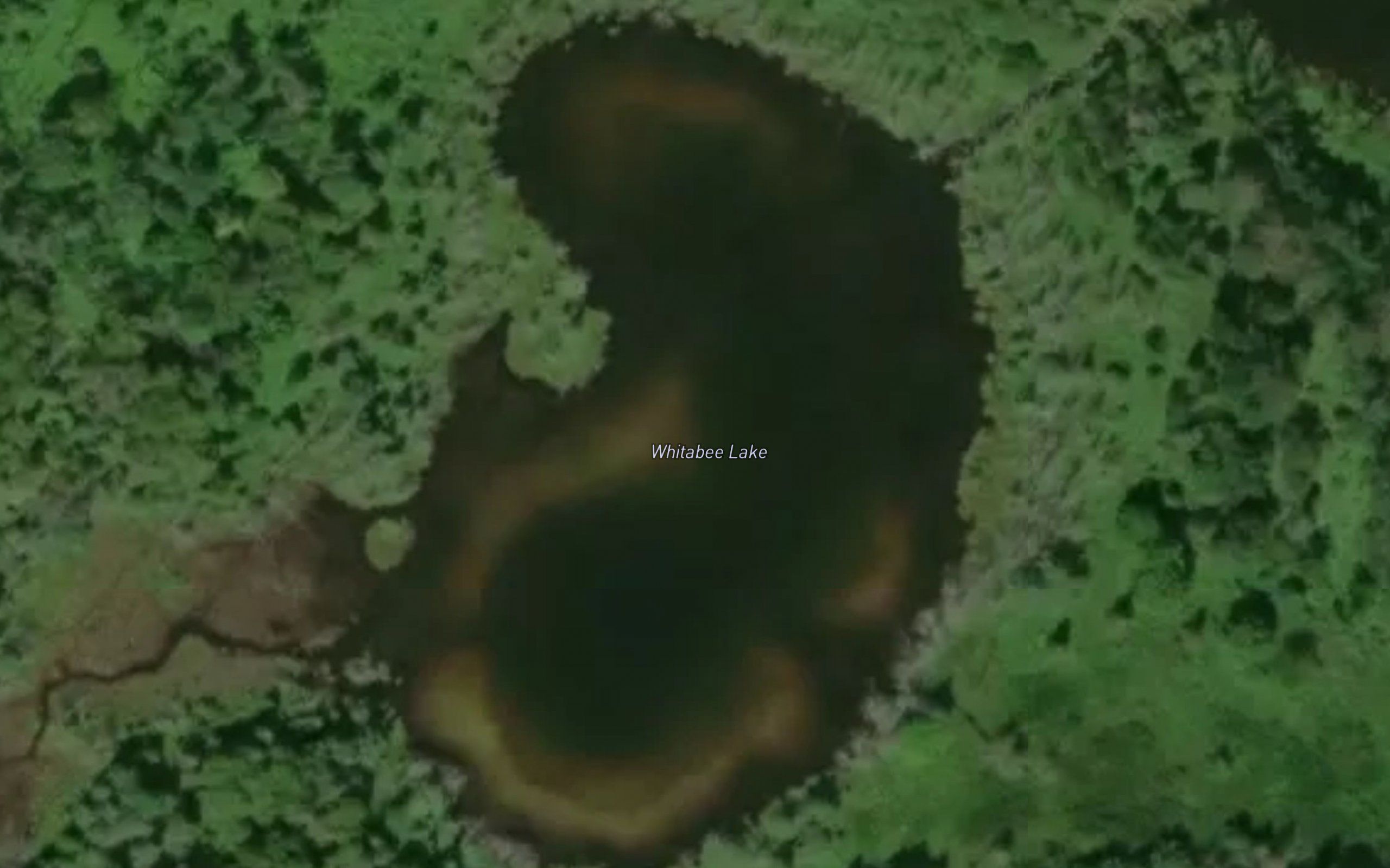 Whitabee Lake